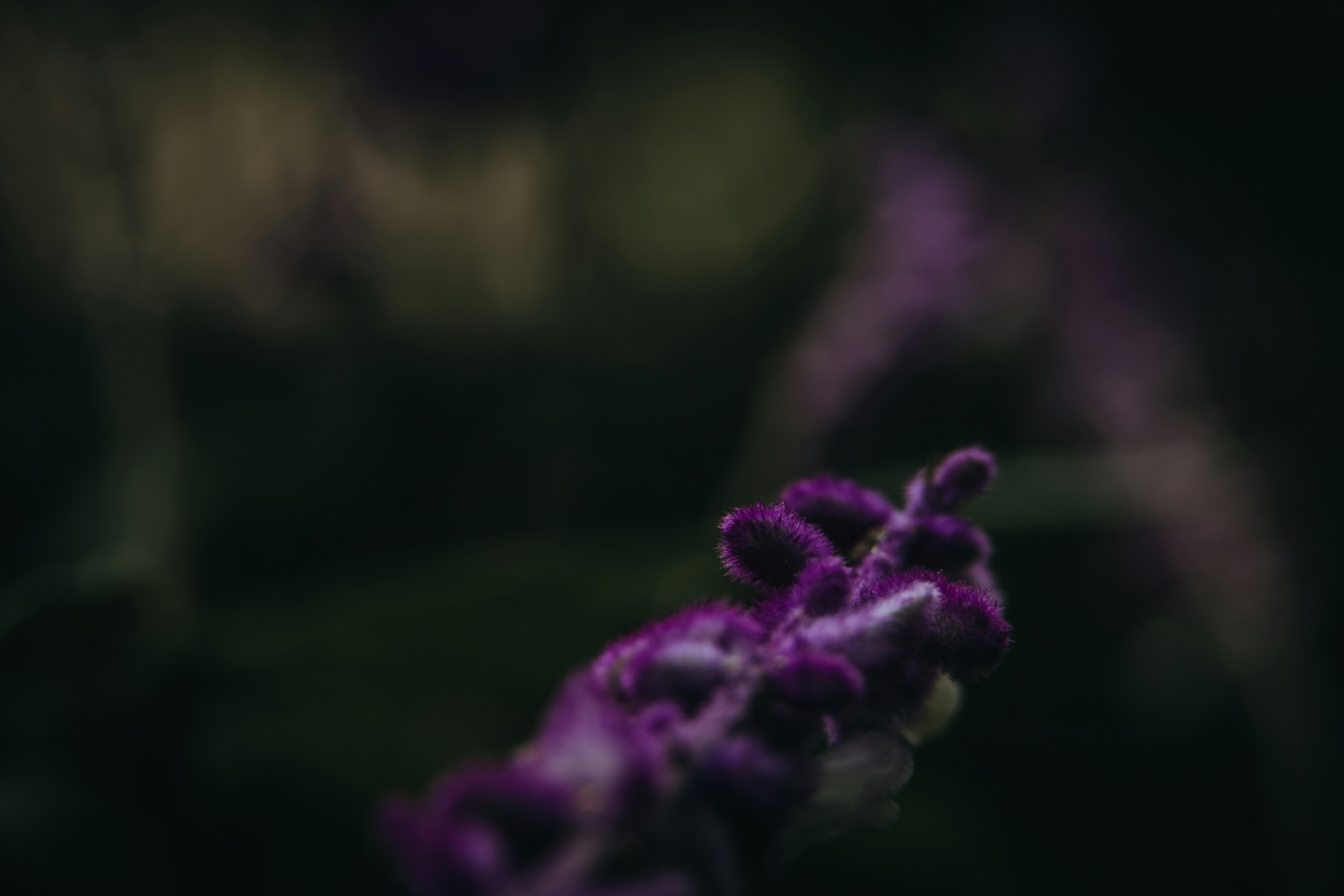 Photo by rrodriguesim