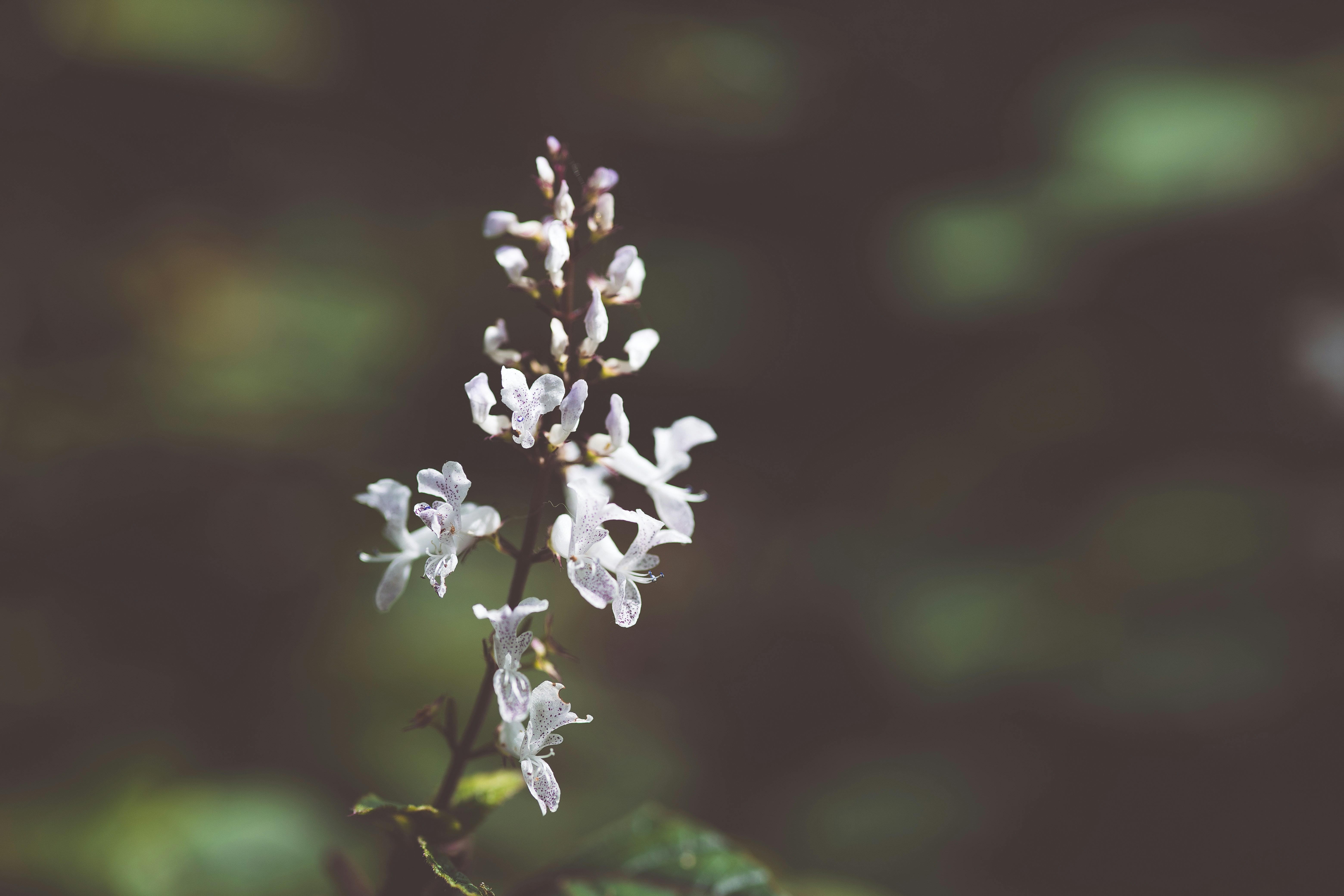 Photo by rrodriguesim