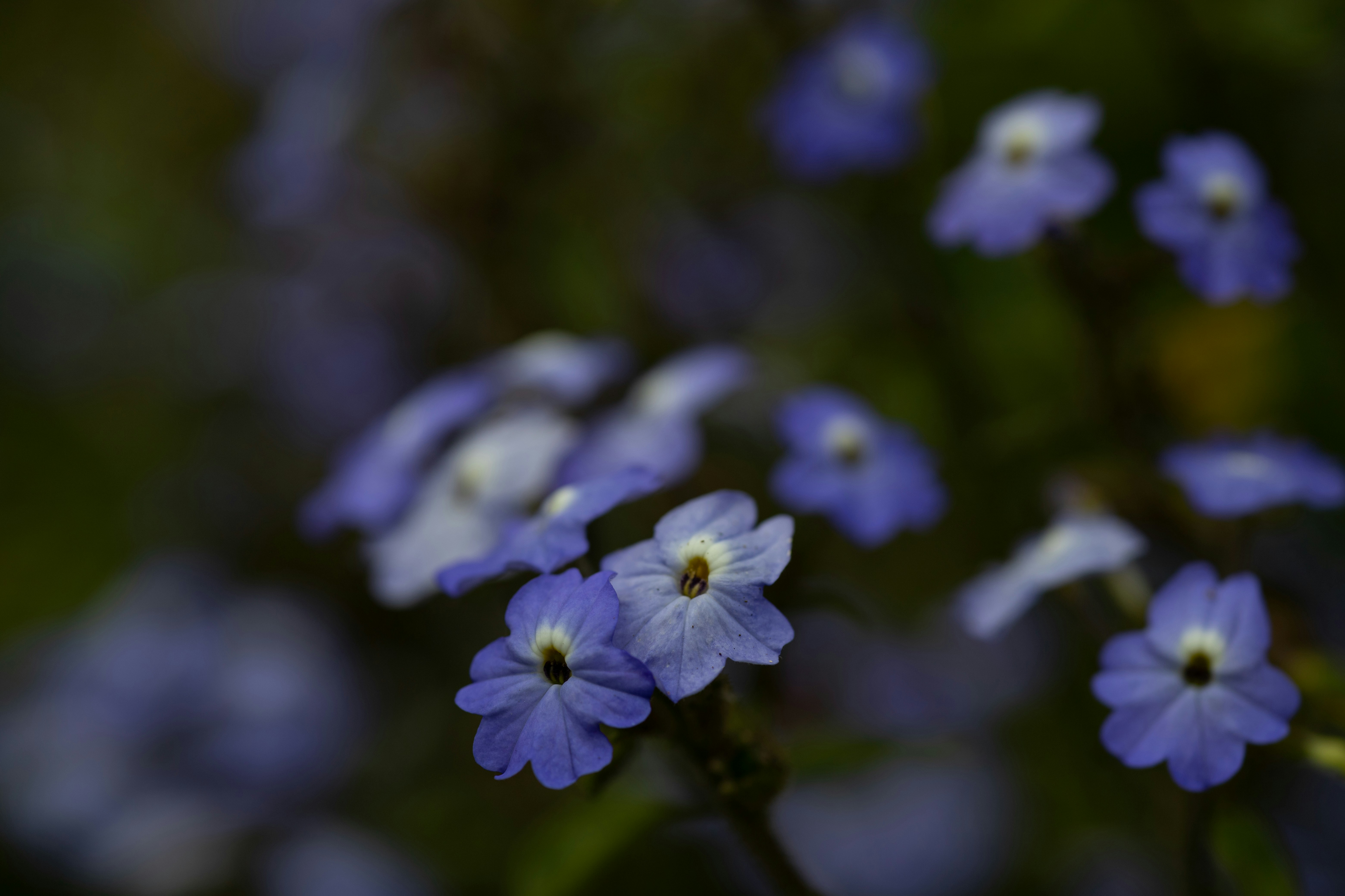 Photo by rrodriguesim