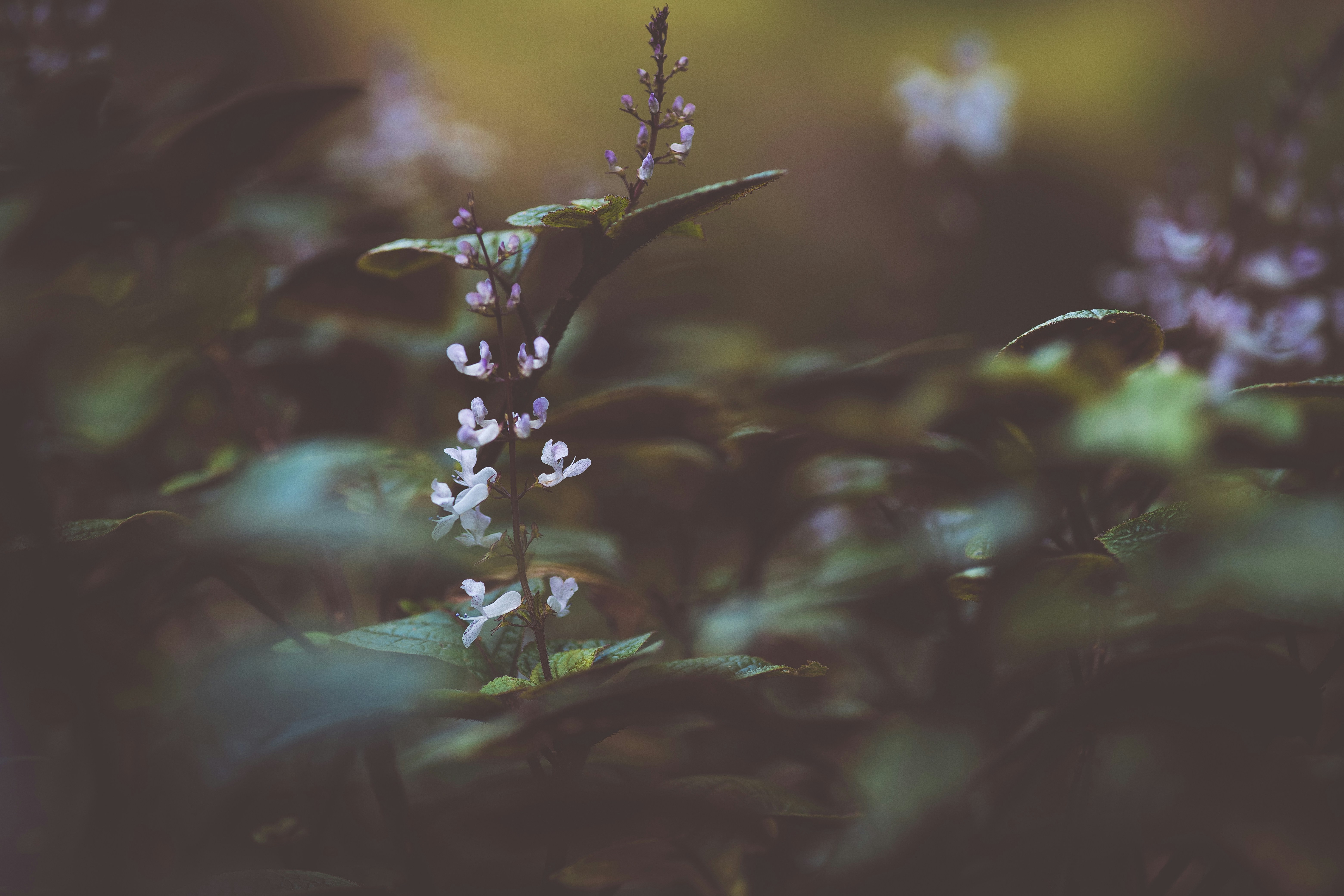 Photo by rrodriguesim