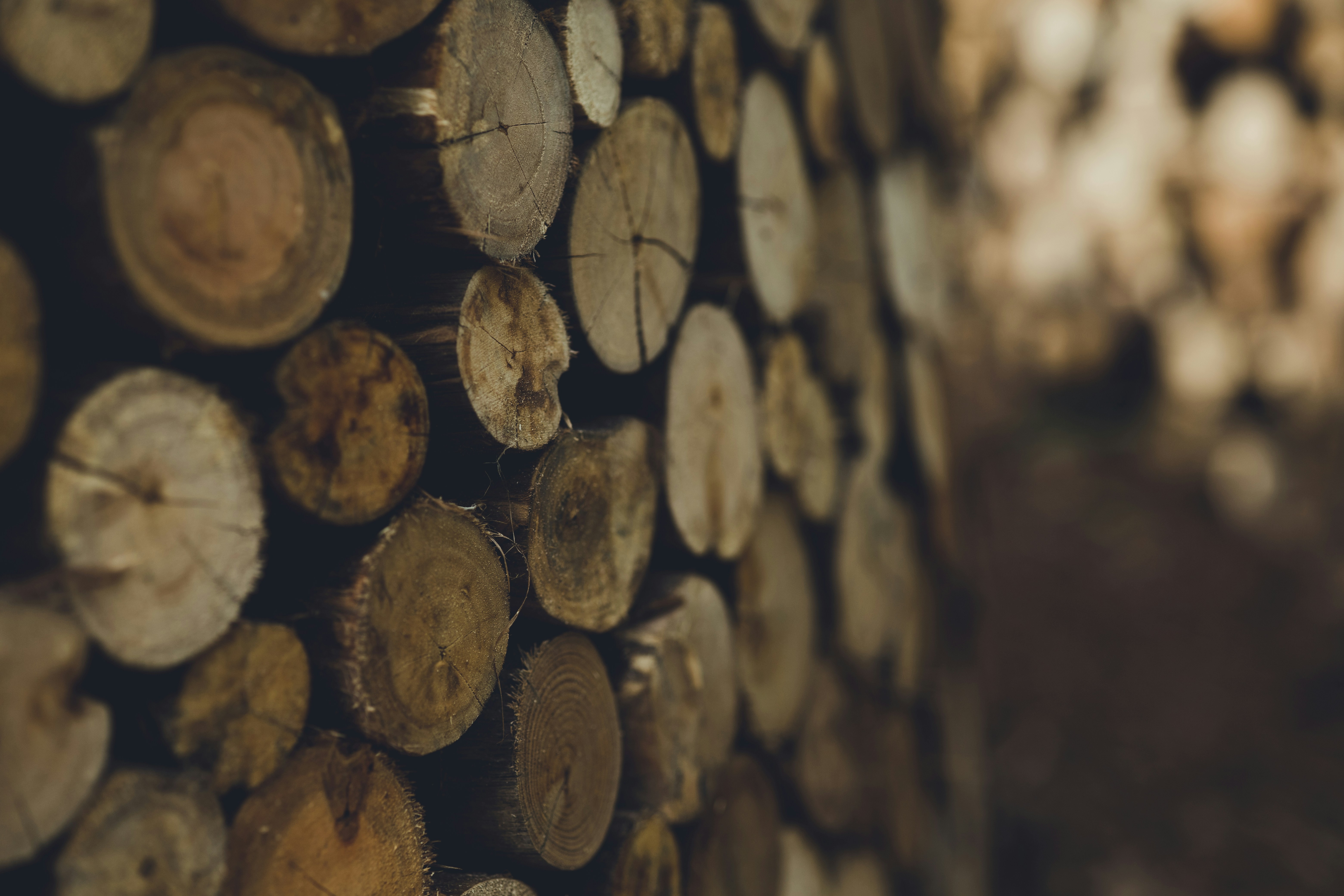 Photo by rrodriguesim