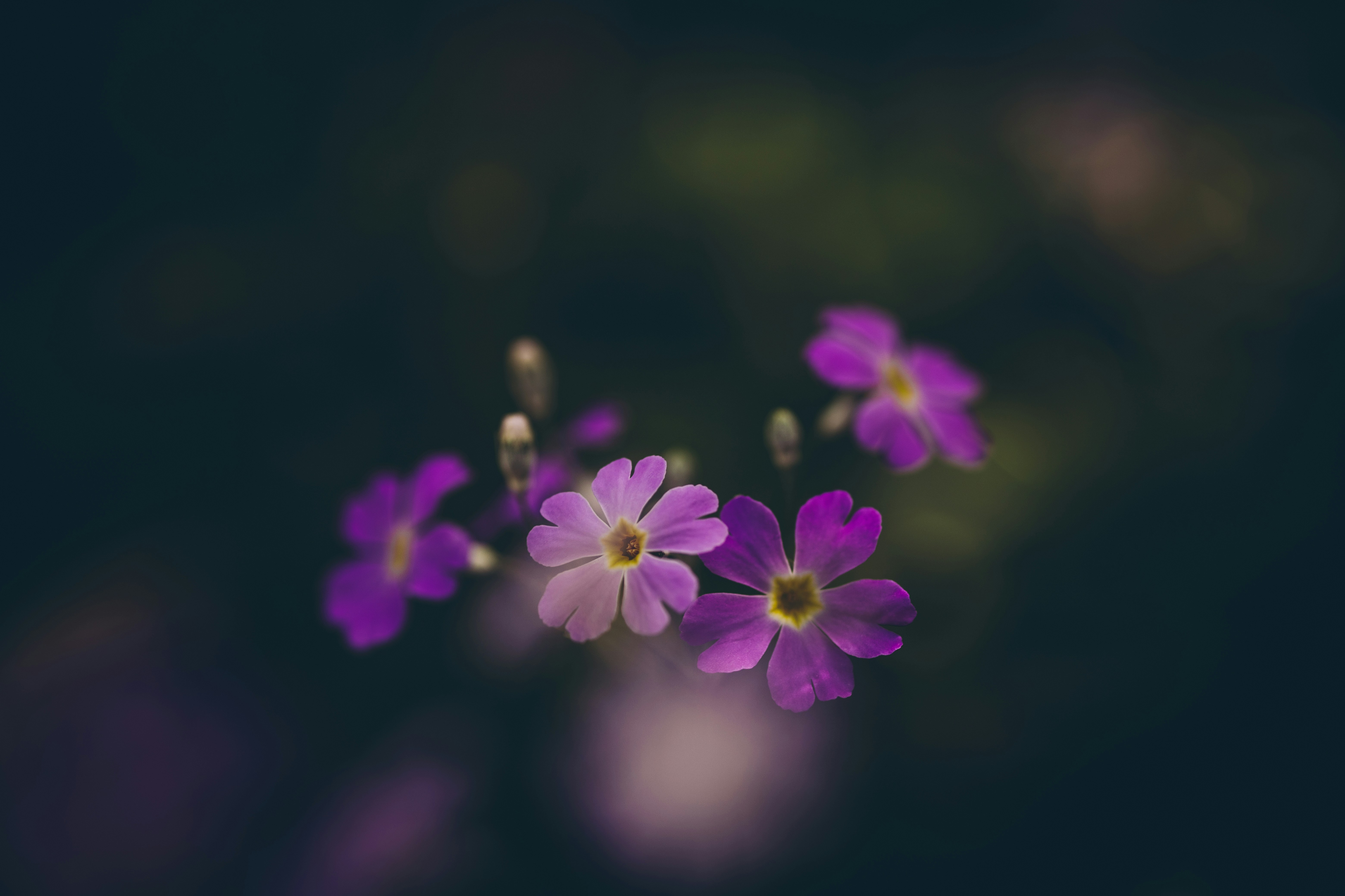 Photo by rrodriguesim