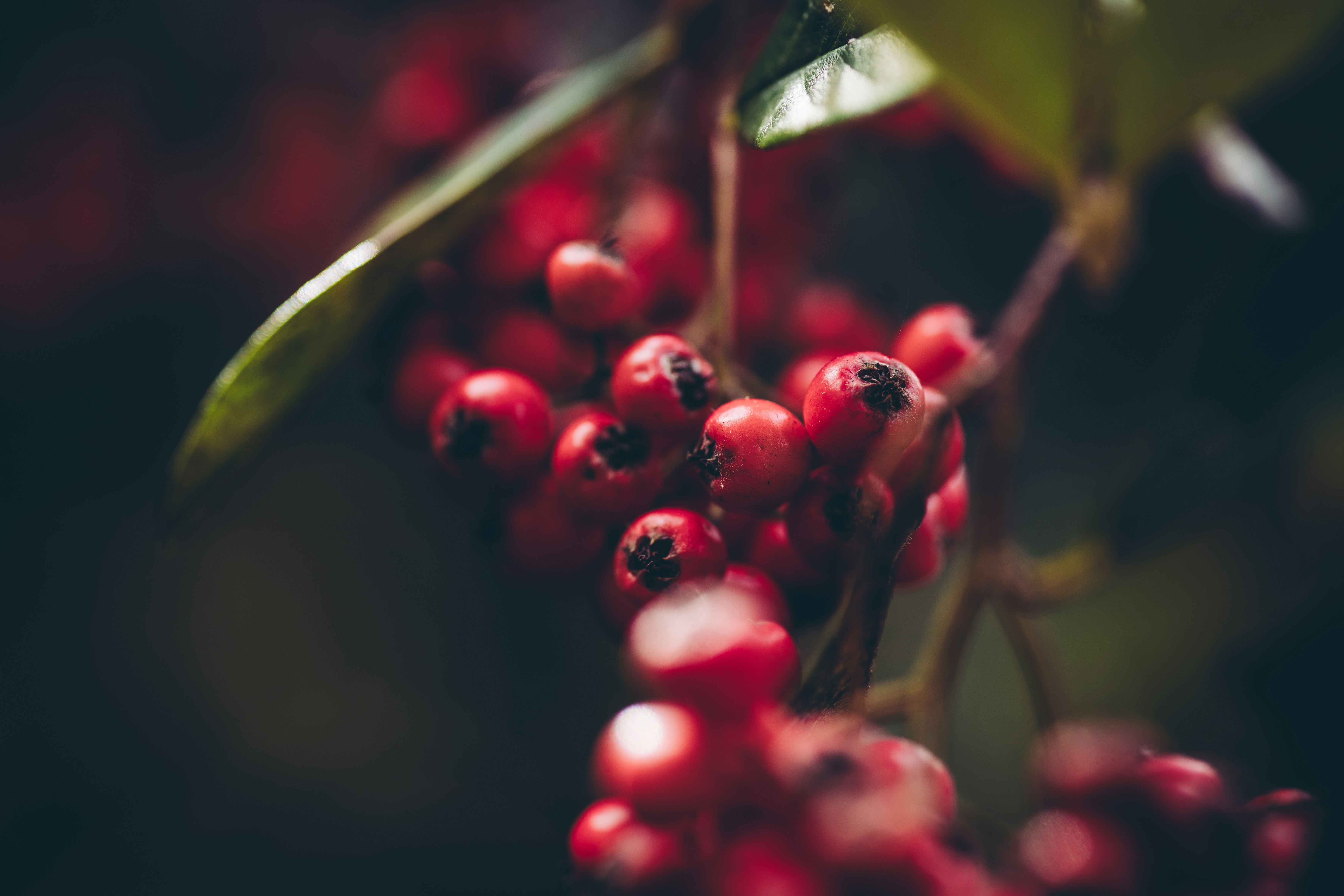 Photo by rrodriguesim