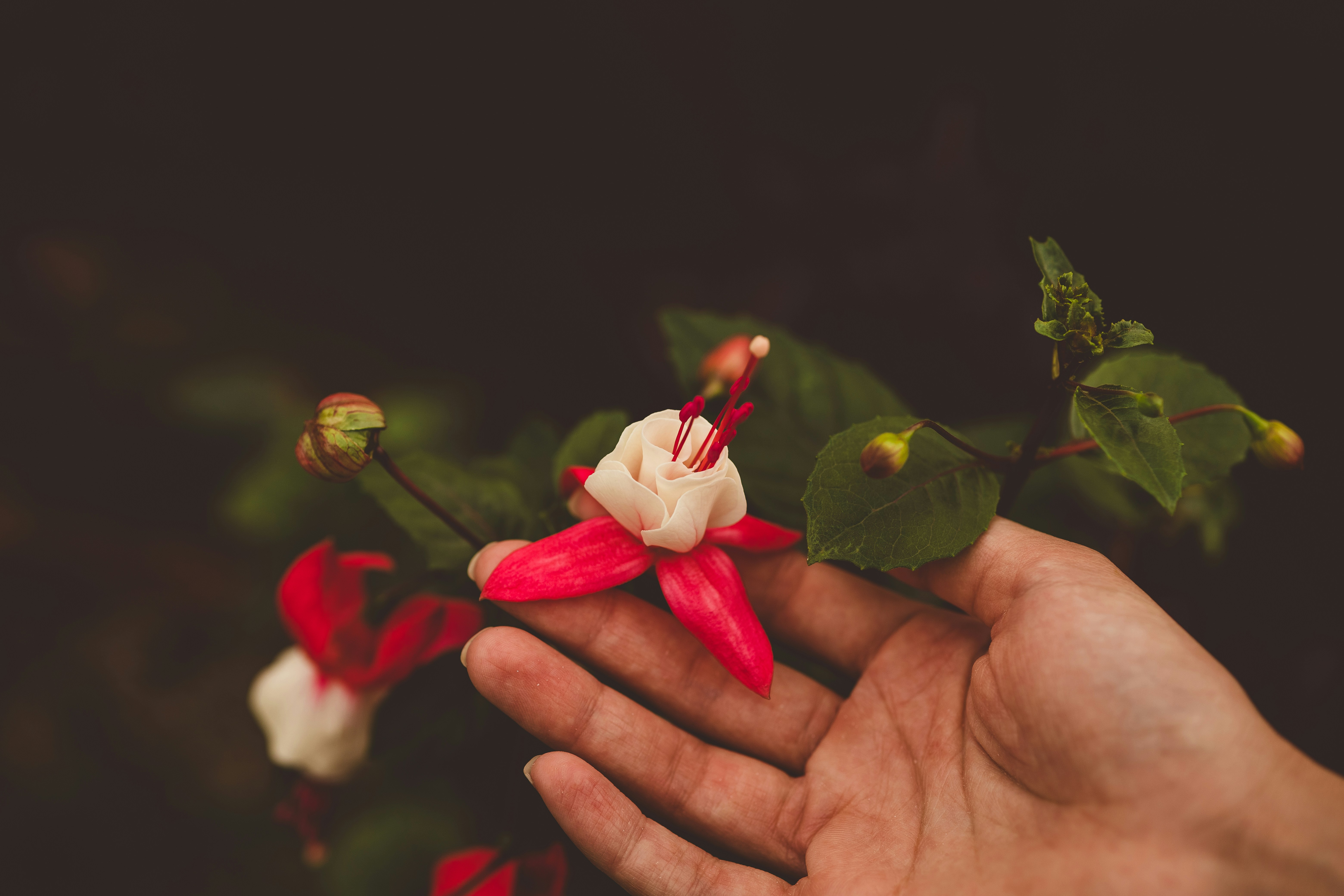 Photo by rrodriguesim