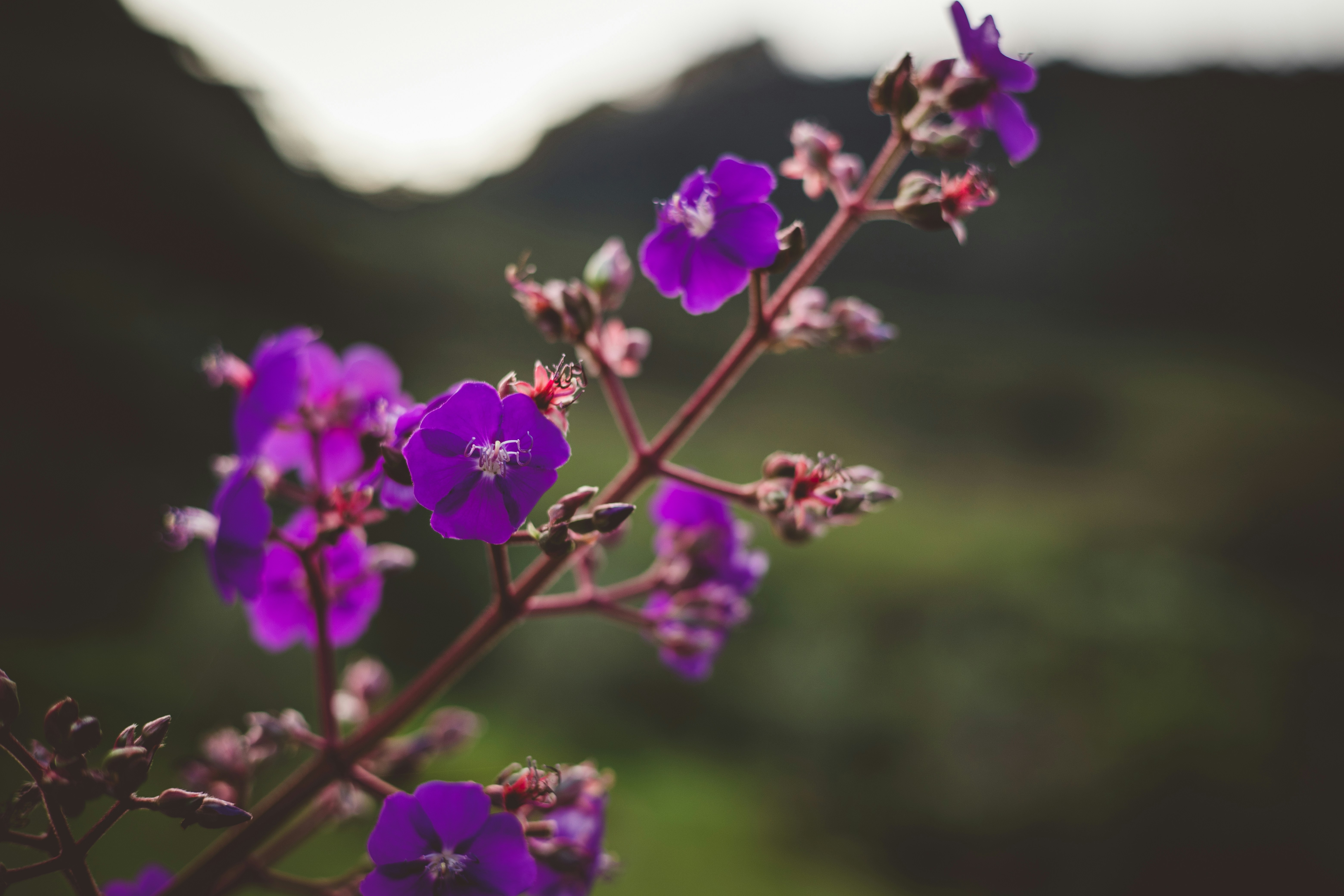 Photo by rrodriguesim