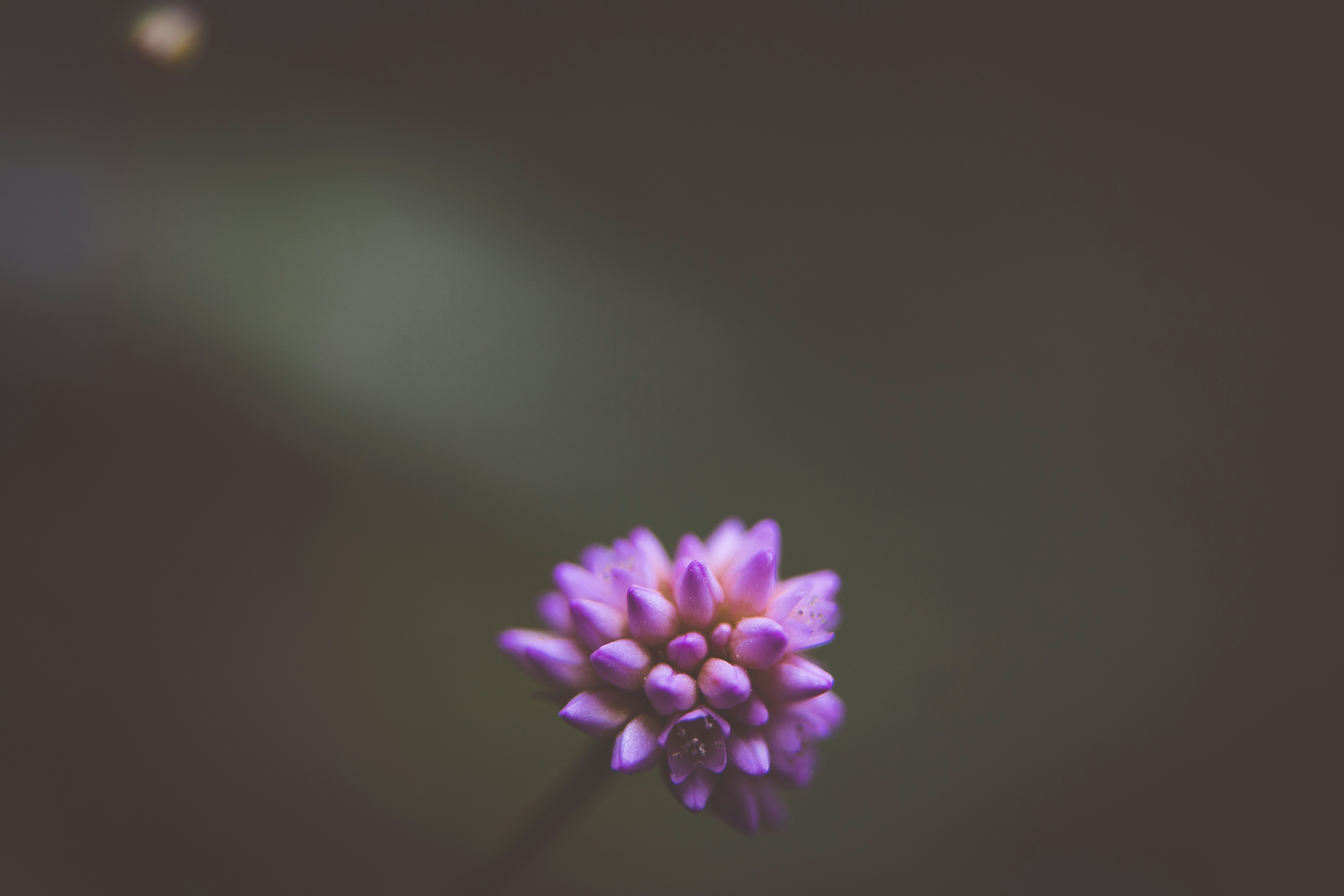 Photo by rrodriguesim