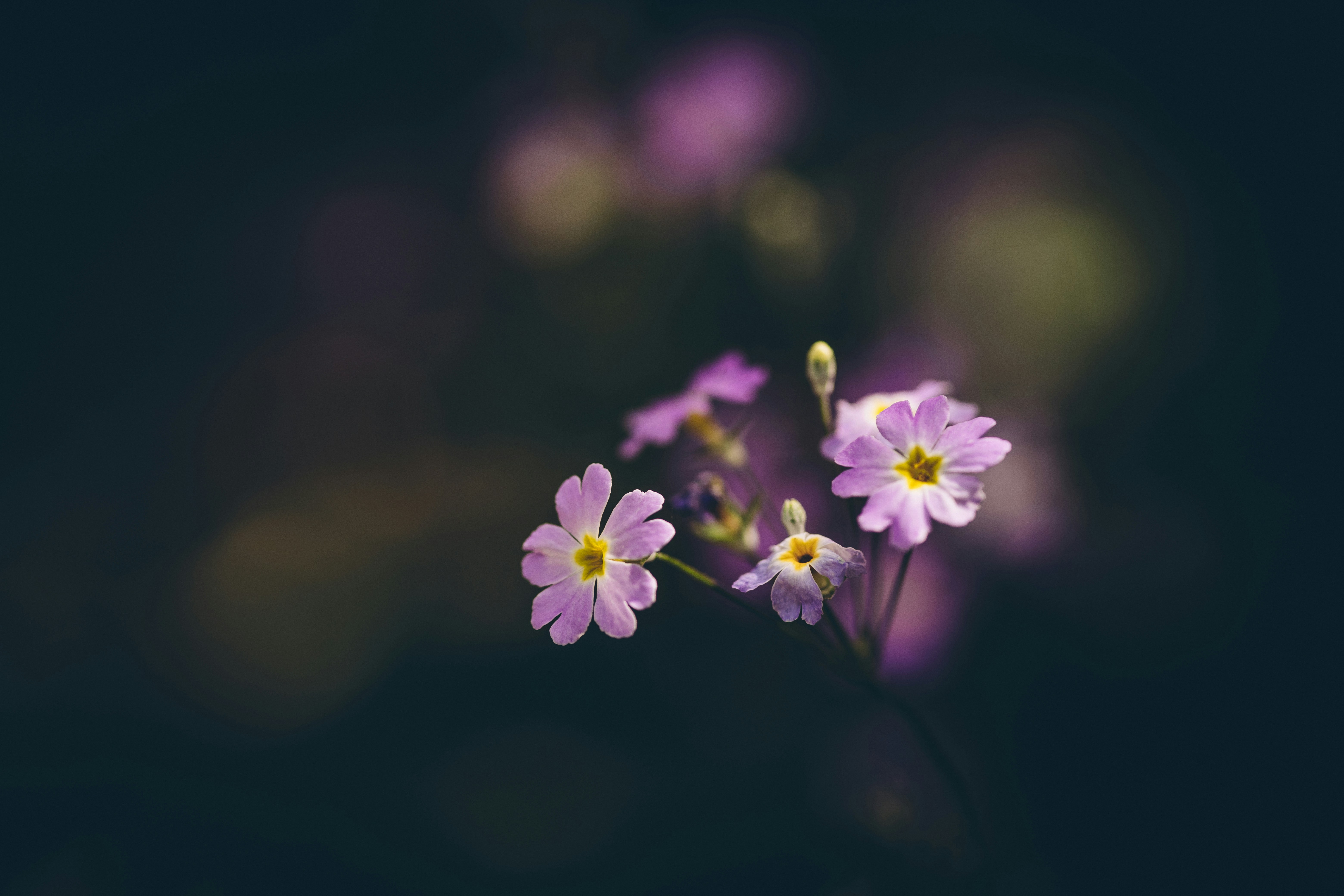 Photo by rrodriguesim