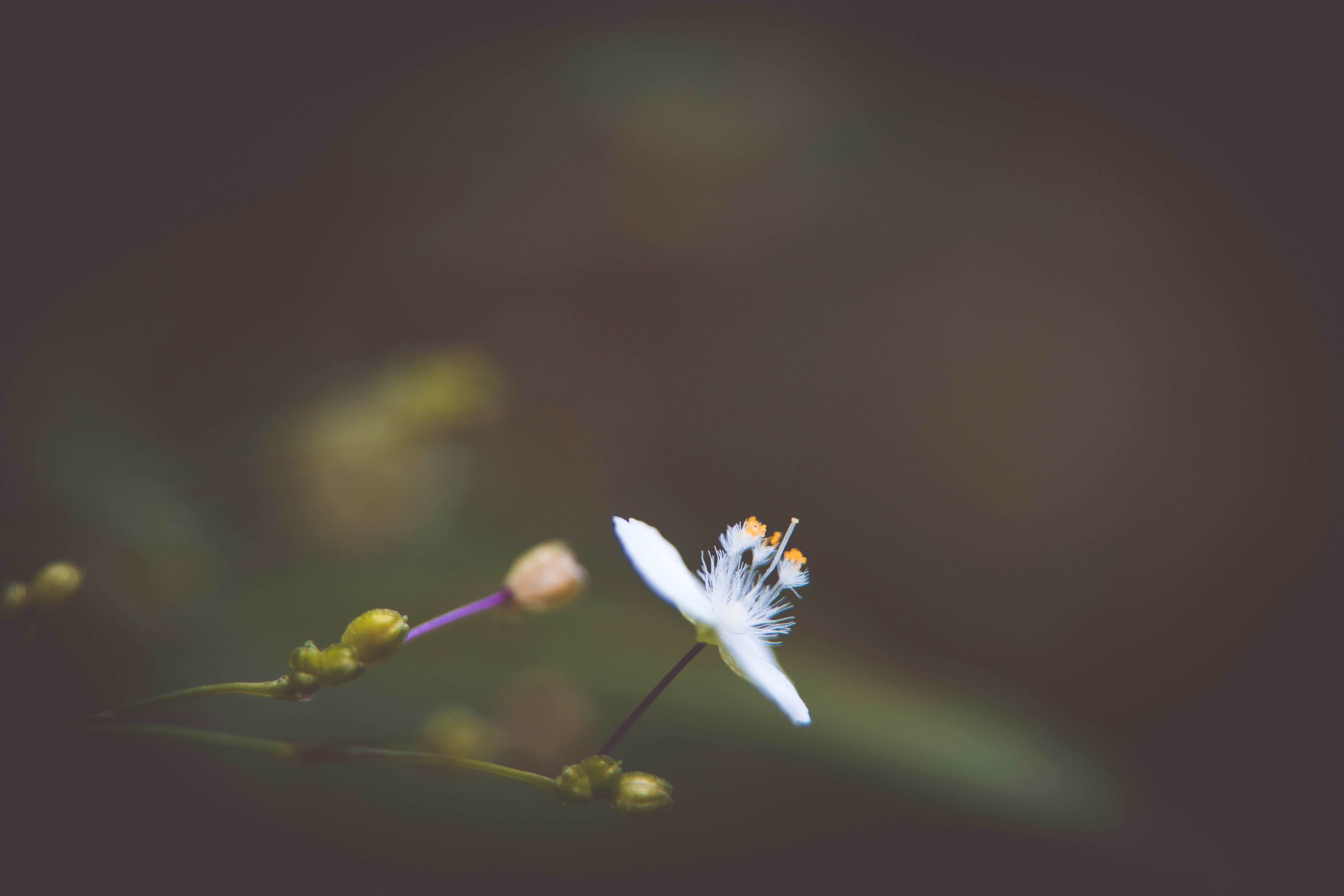 Photo by rrodriguesim