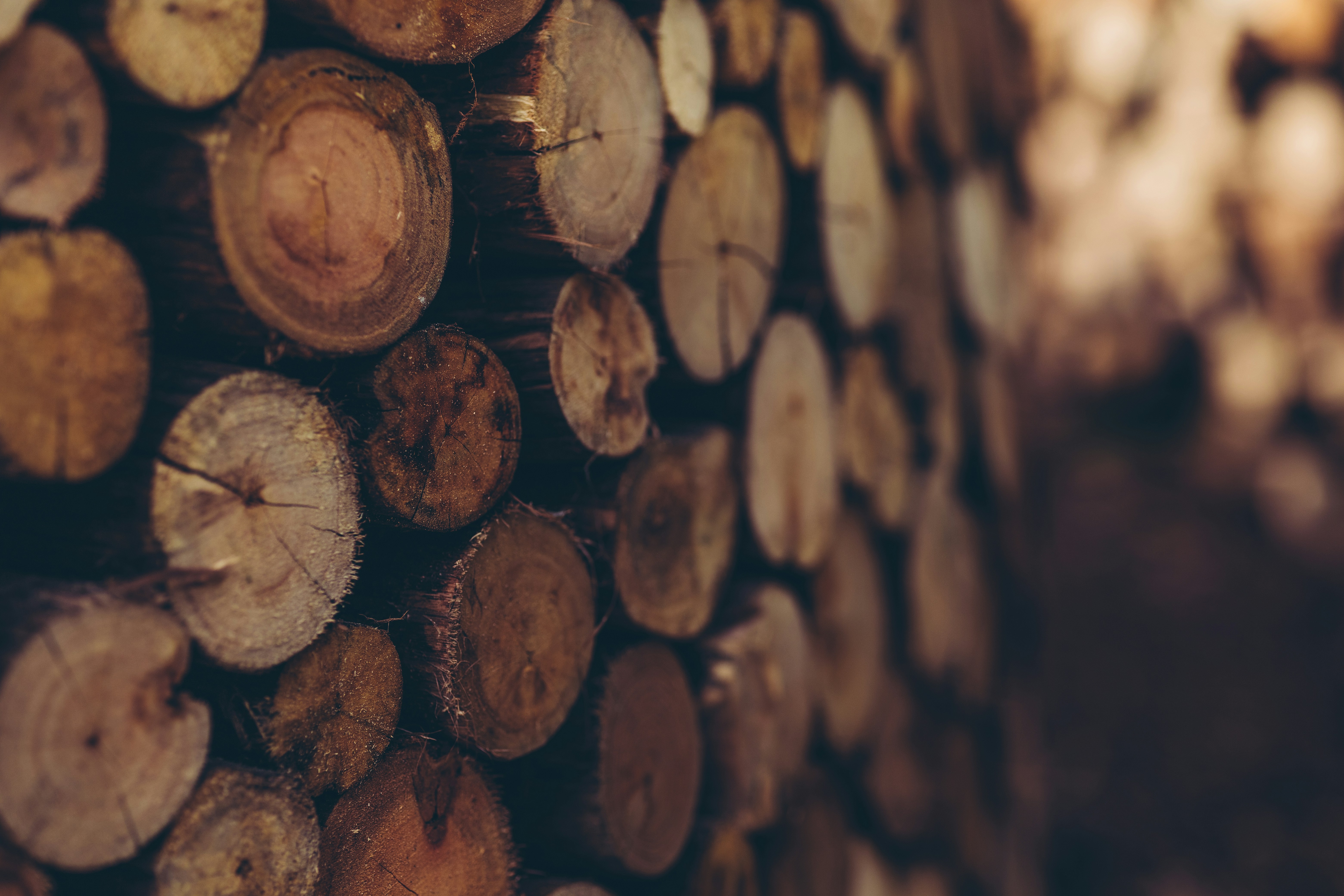 Photo by rrodriguesim