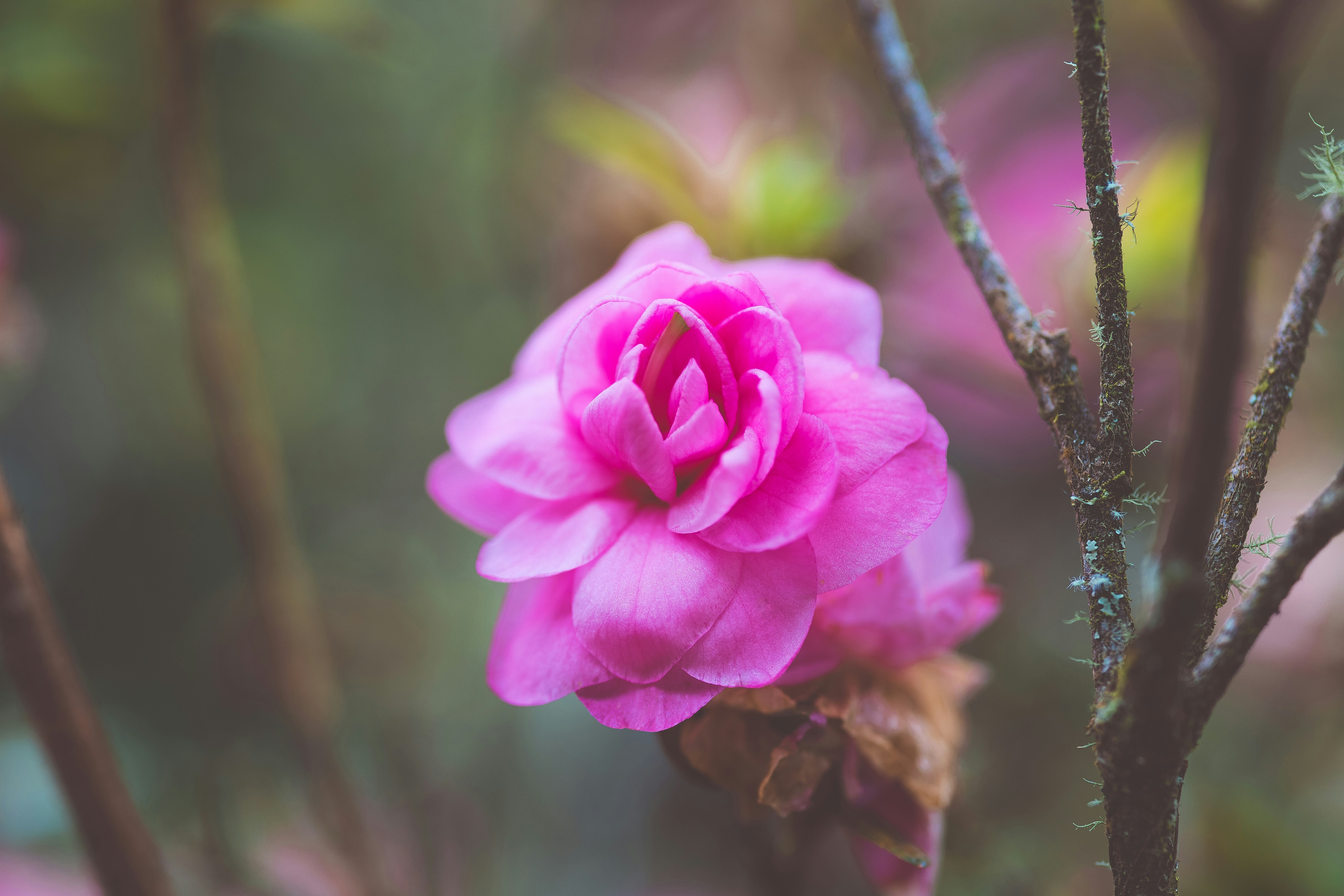 Photo by rrodriguesim