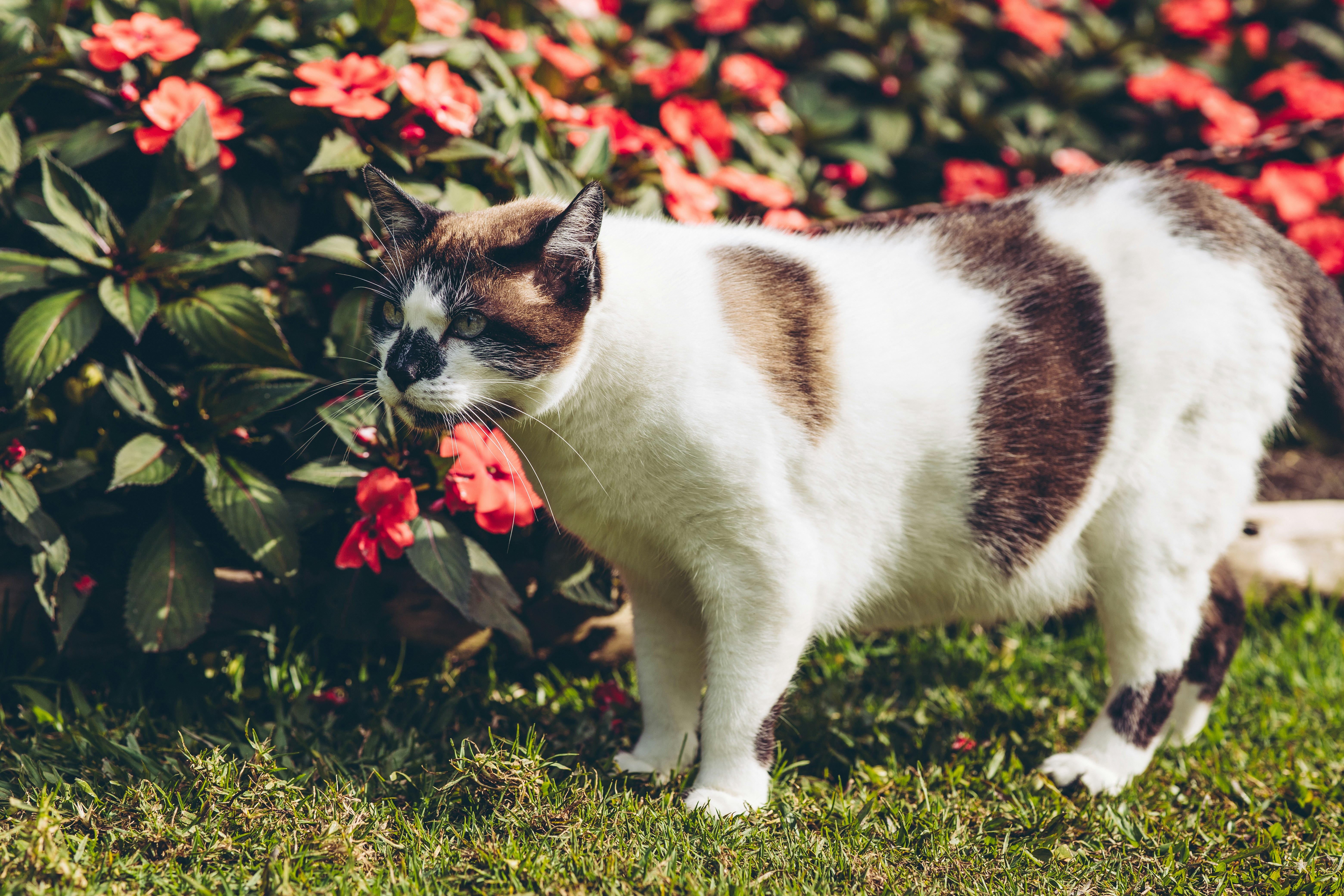 Photo by rrodriguesim