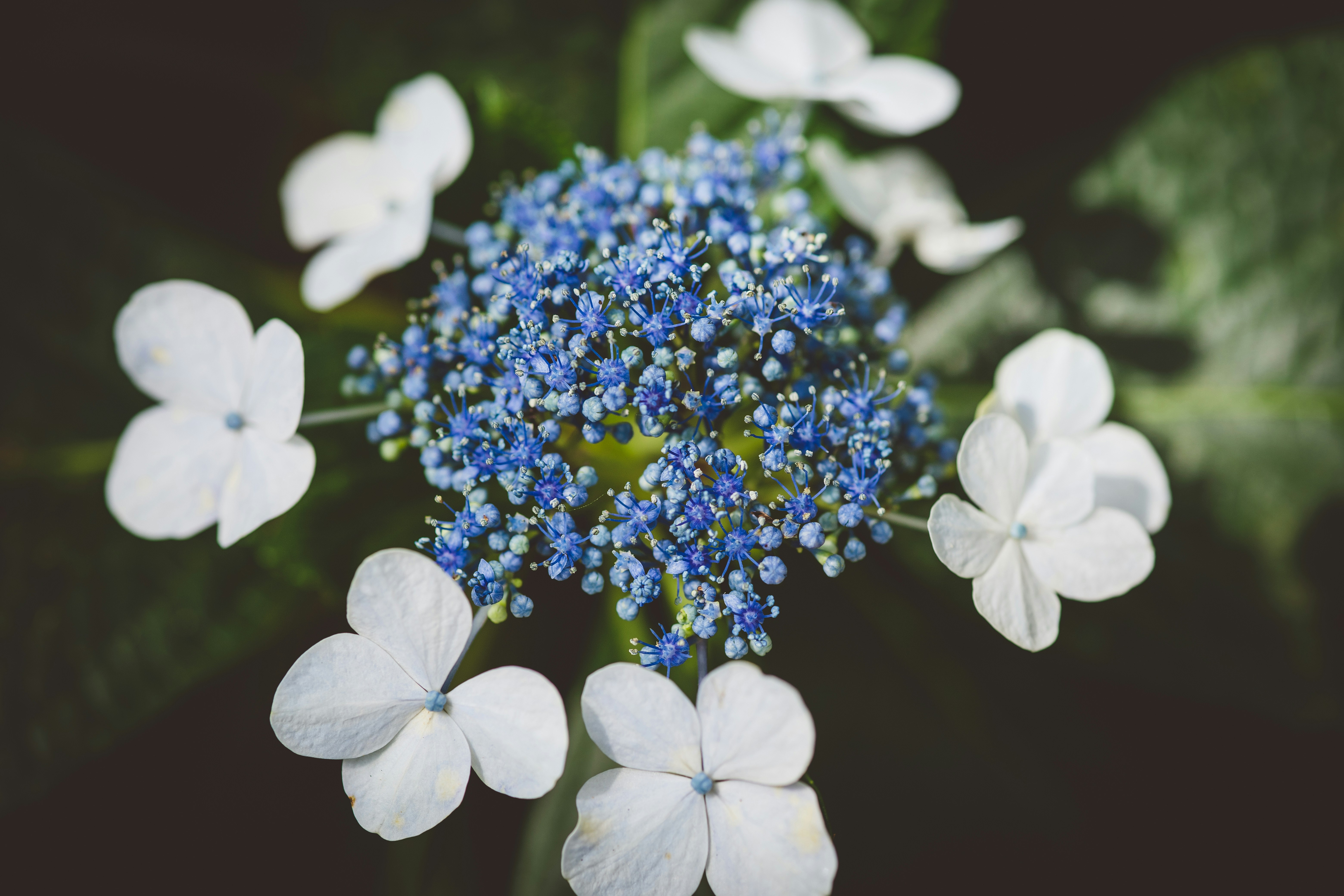 Photo by rrodriguesim