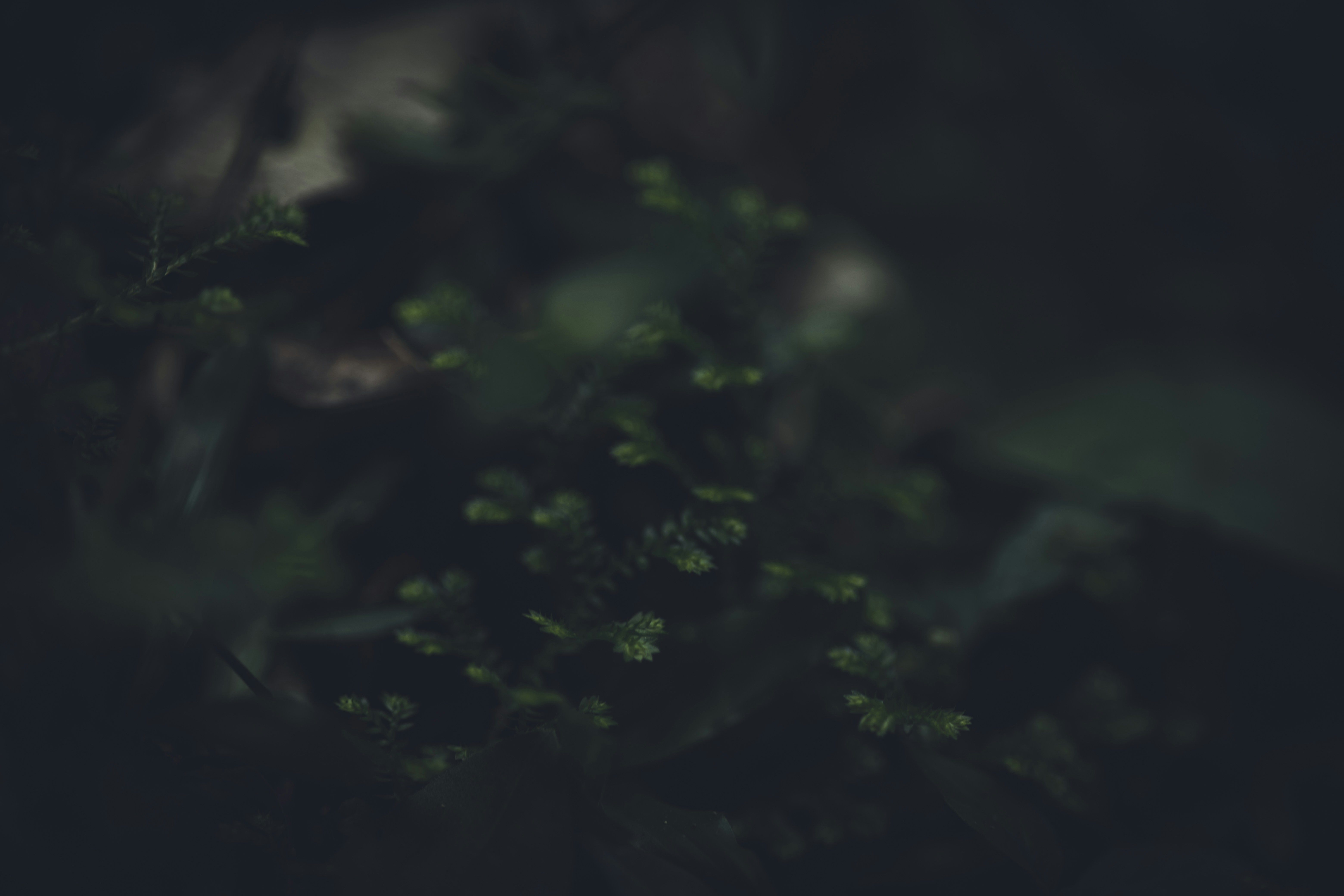 Photo by rrodriguesim