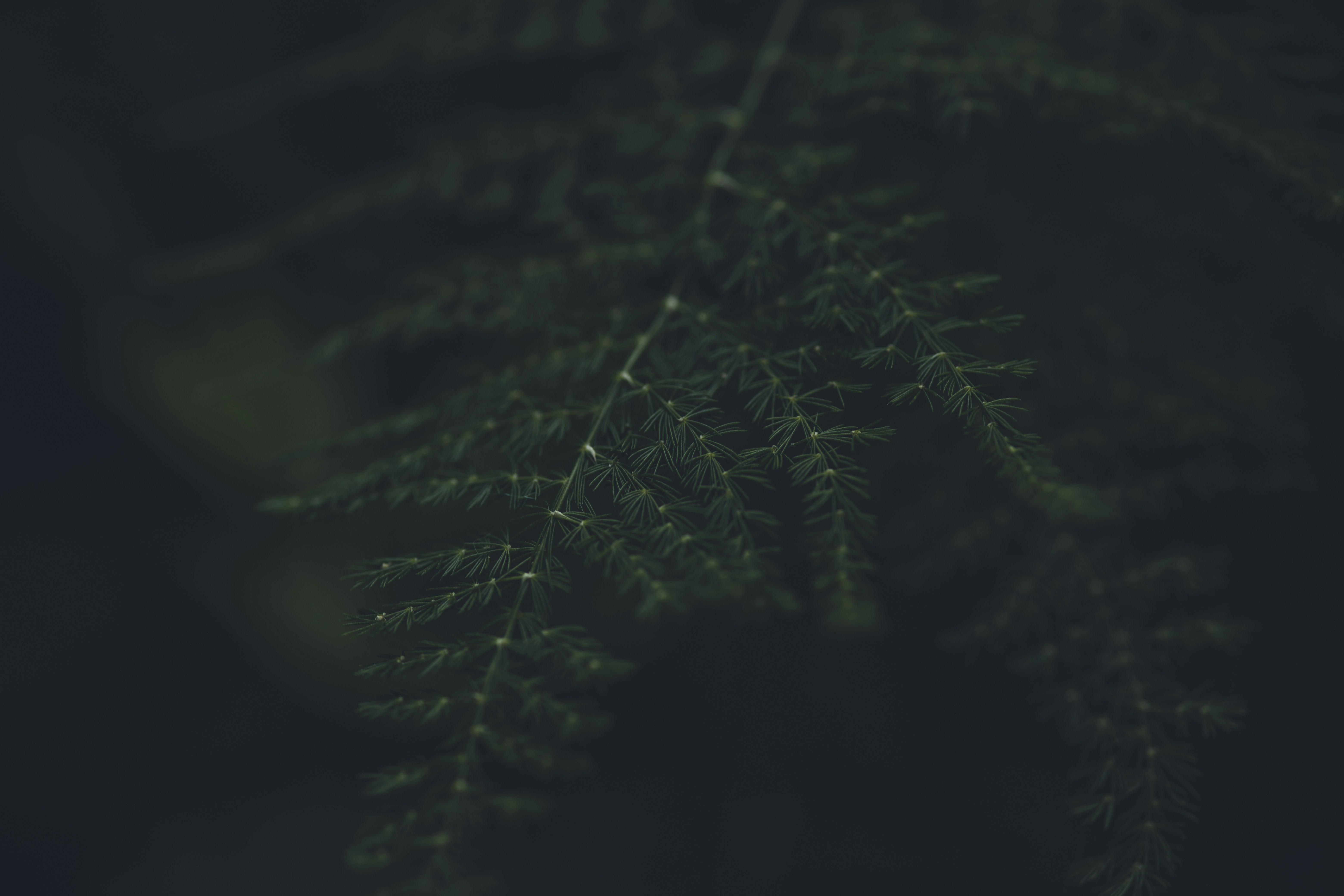 Photo by rrodriguesim