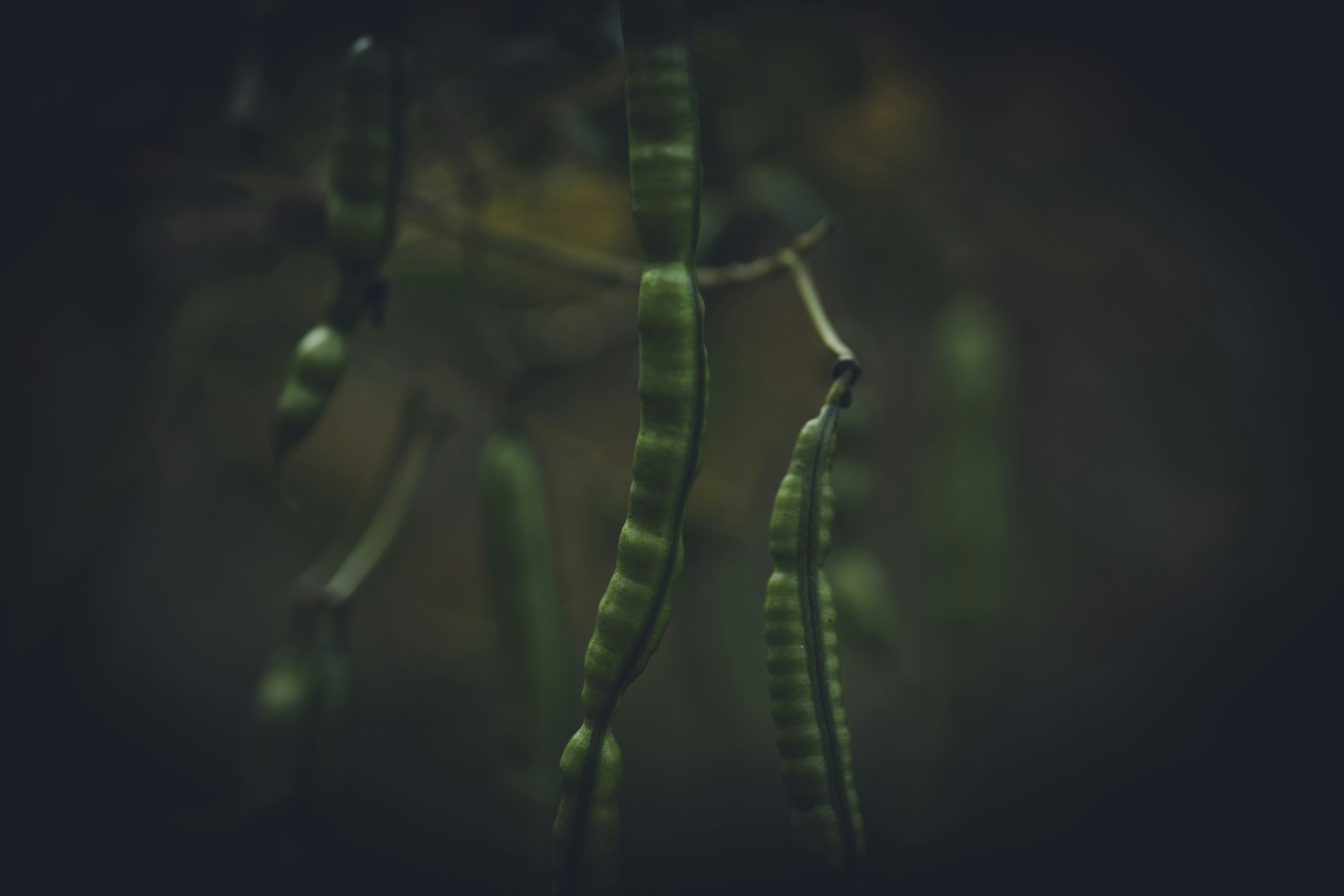 Photo by rrodriguesim