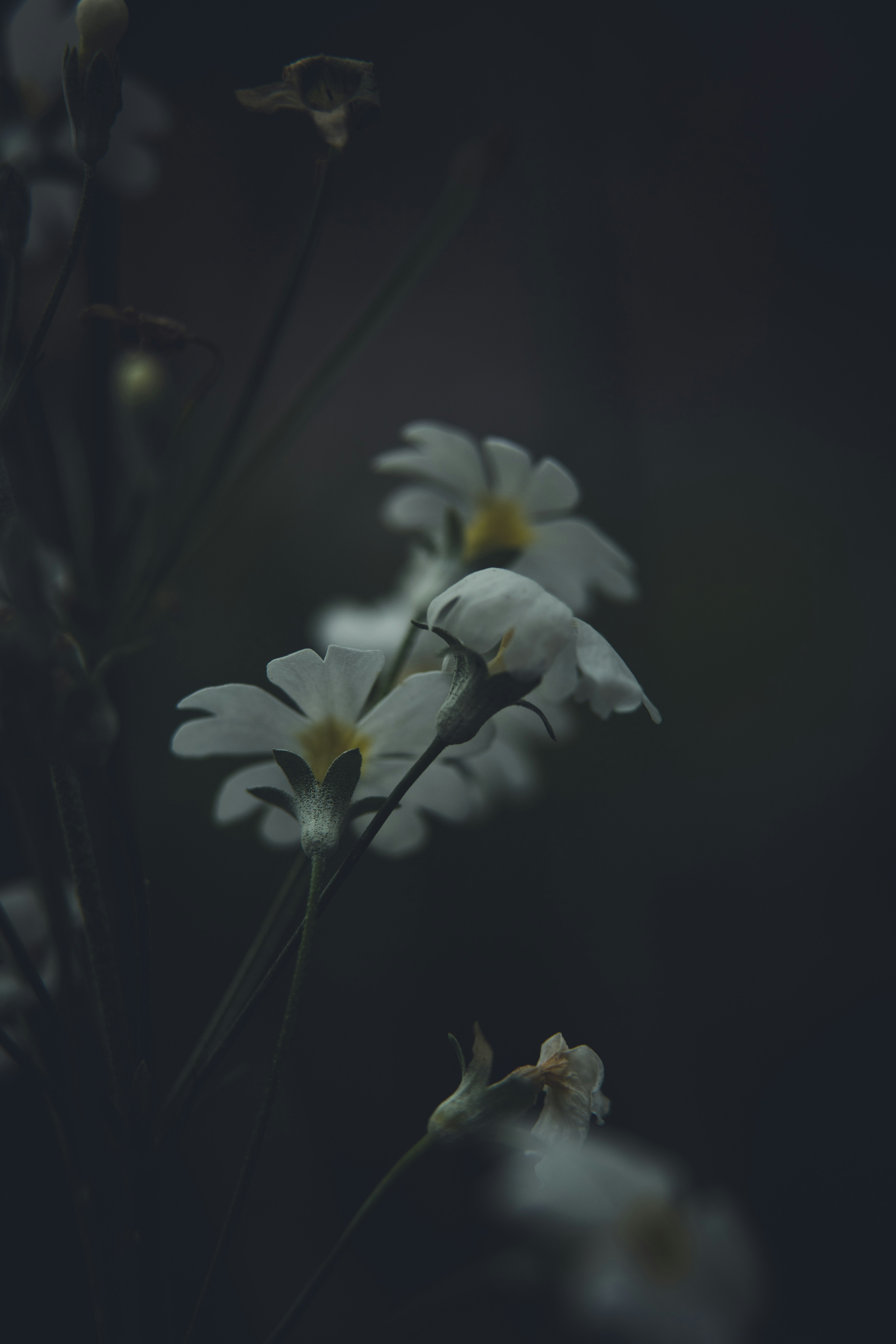 Photo by rrodriguesim