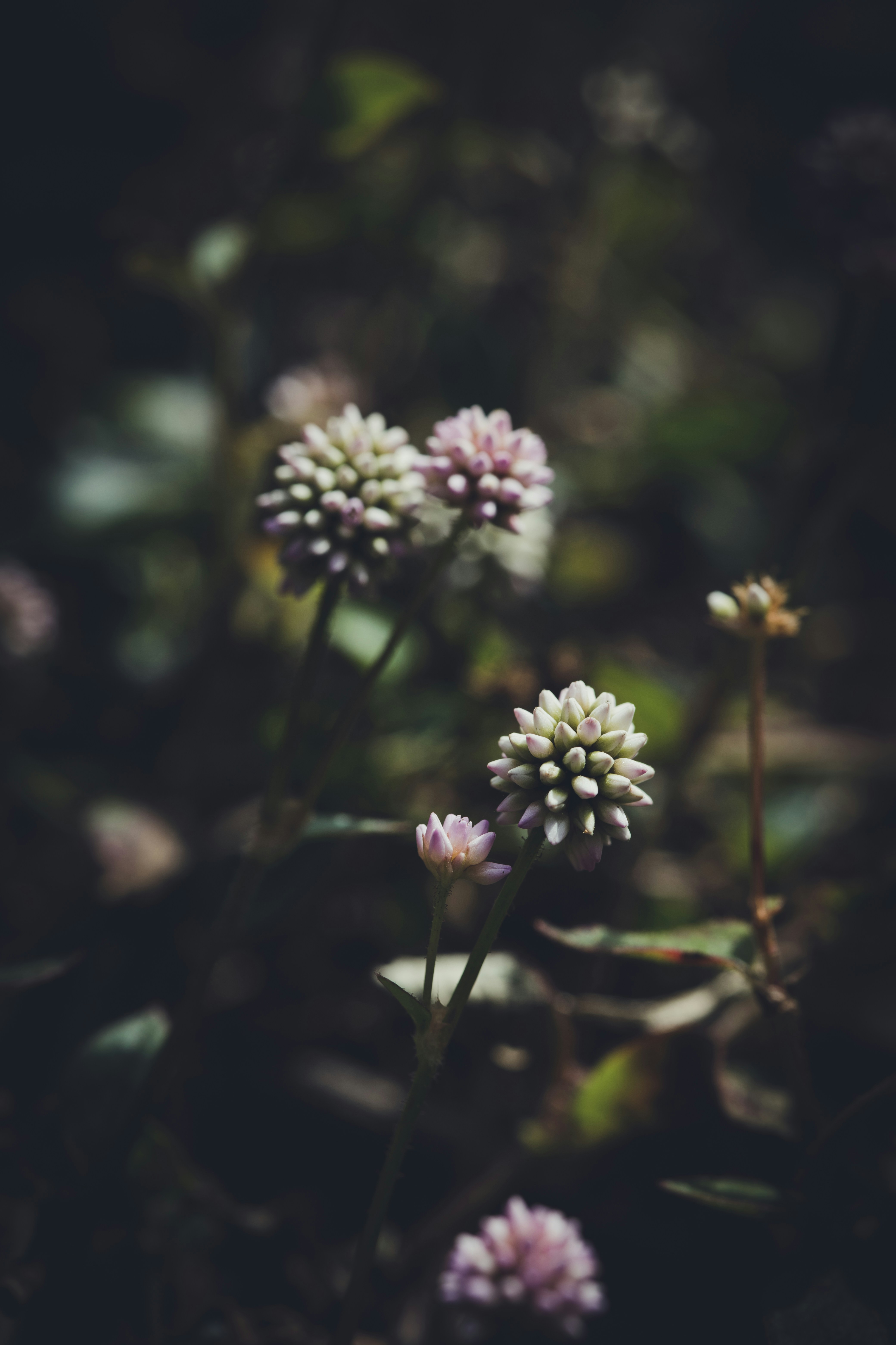 Photo by rrodriguesim