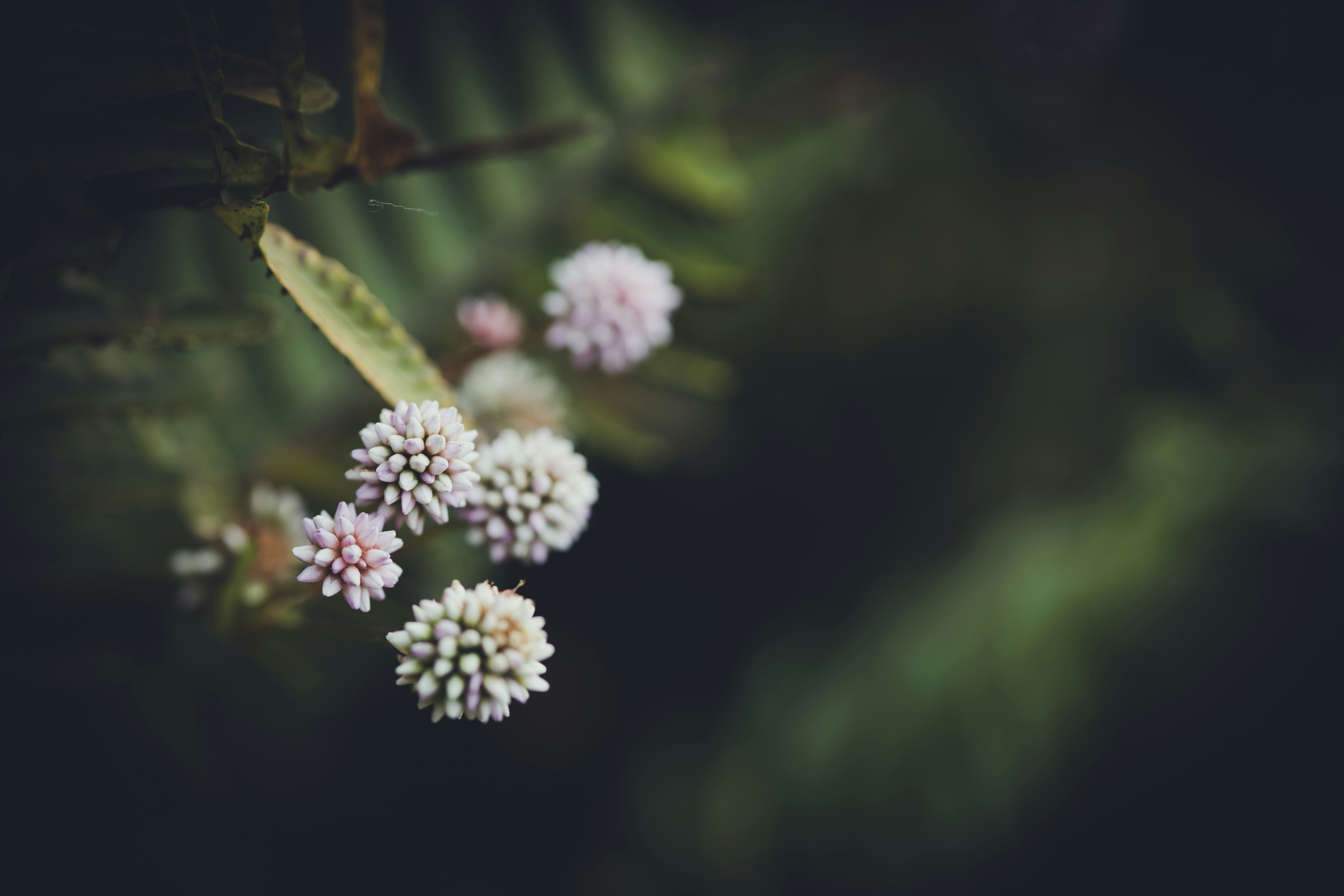 Photo by rrodriguesim