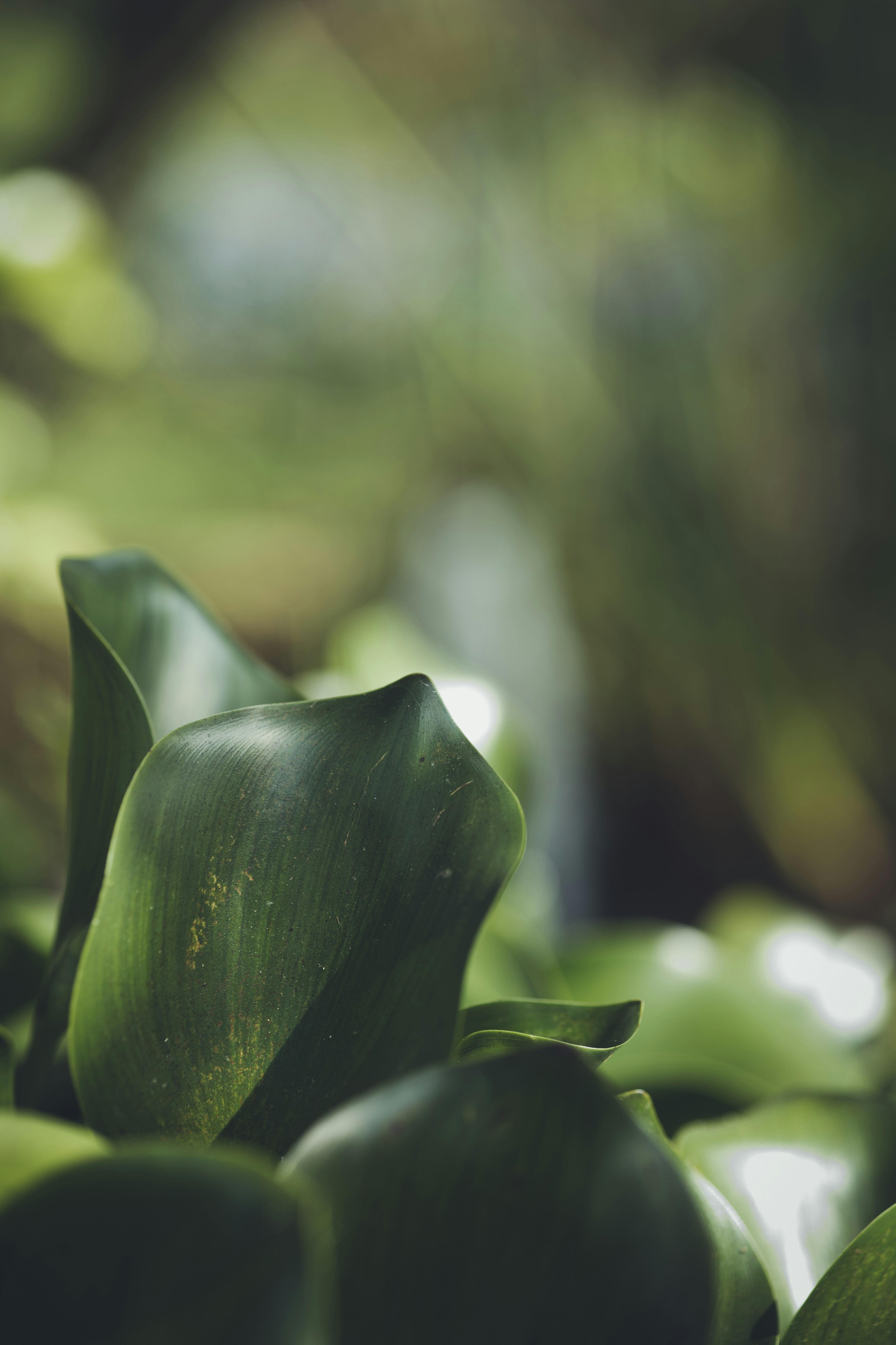 Photo by rrodriguesim