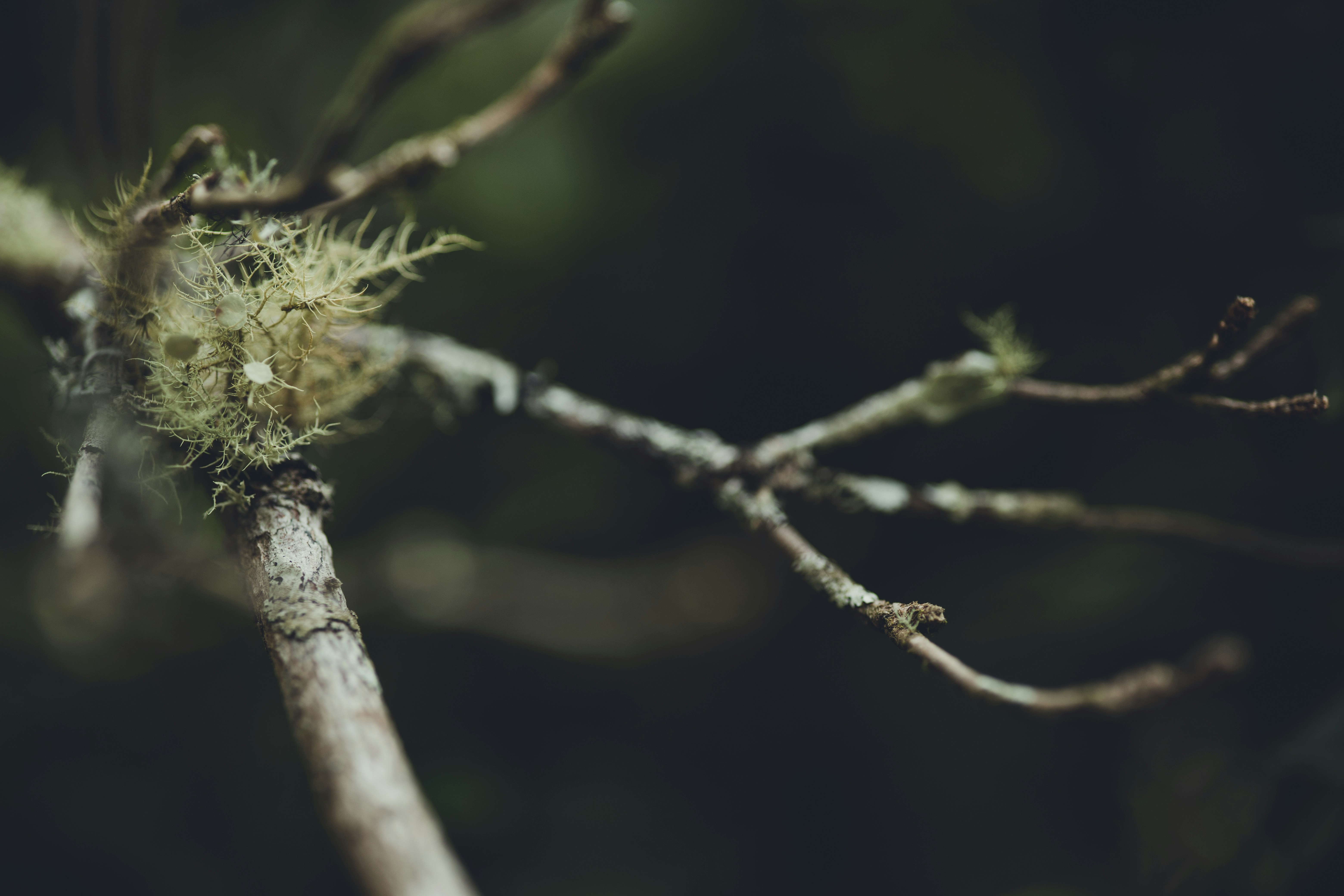 Photo by rrodriguesim