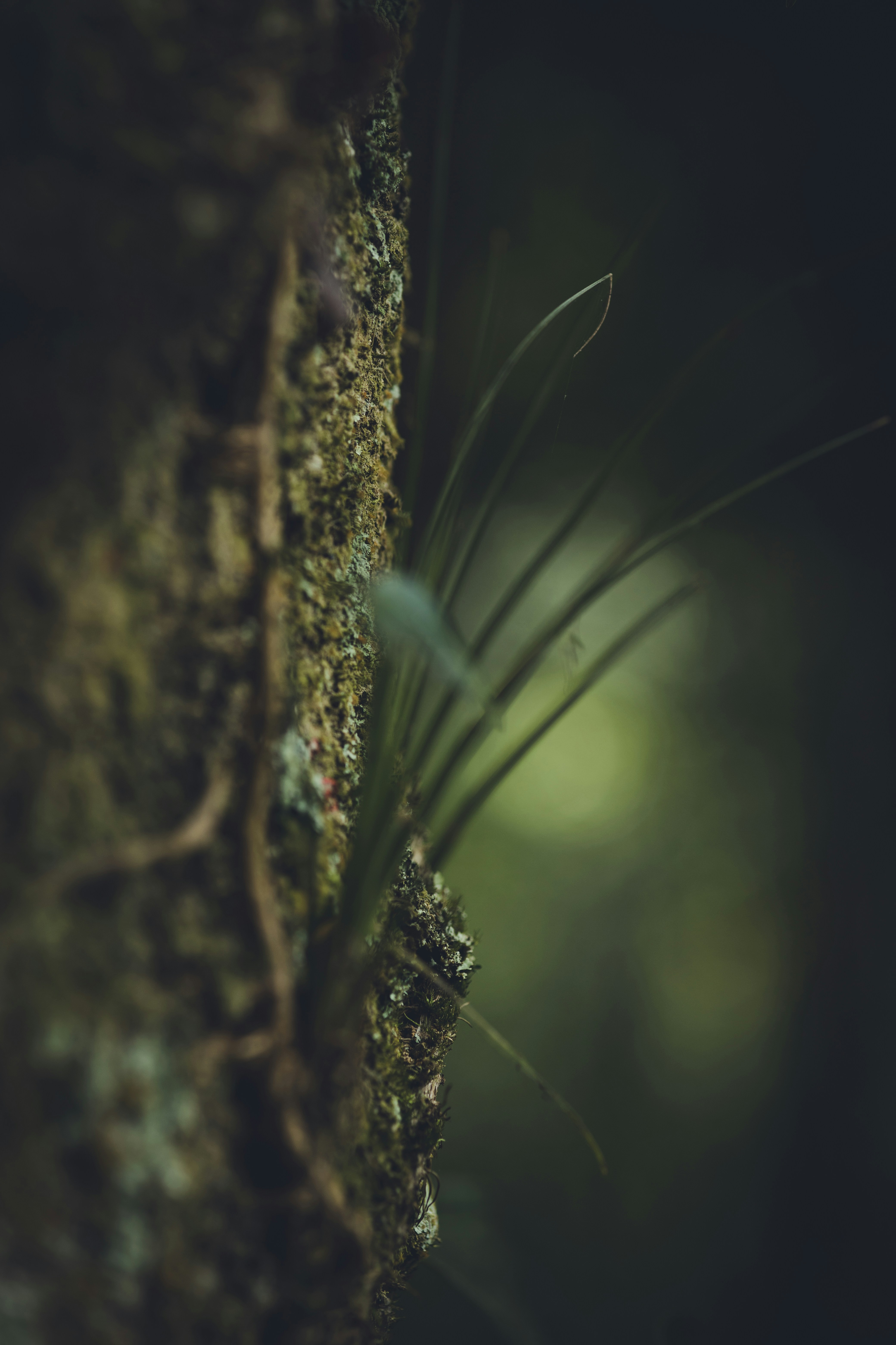 Photo by rrodriguesim