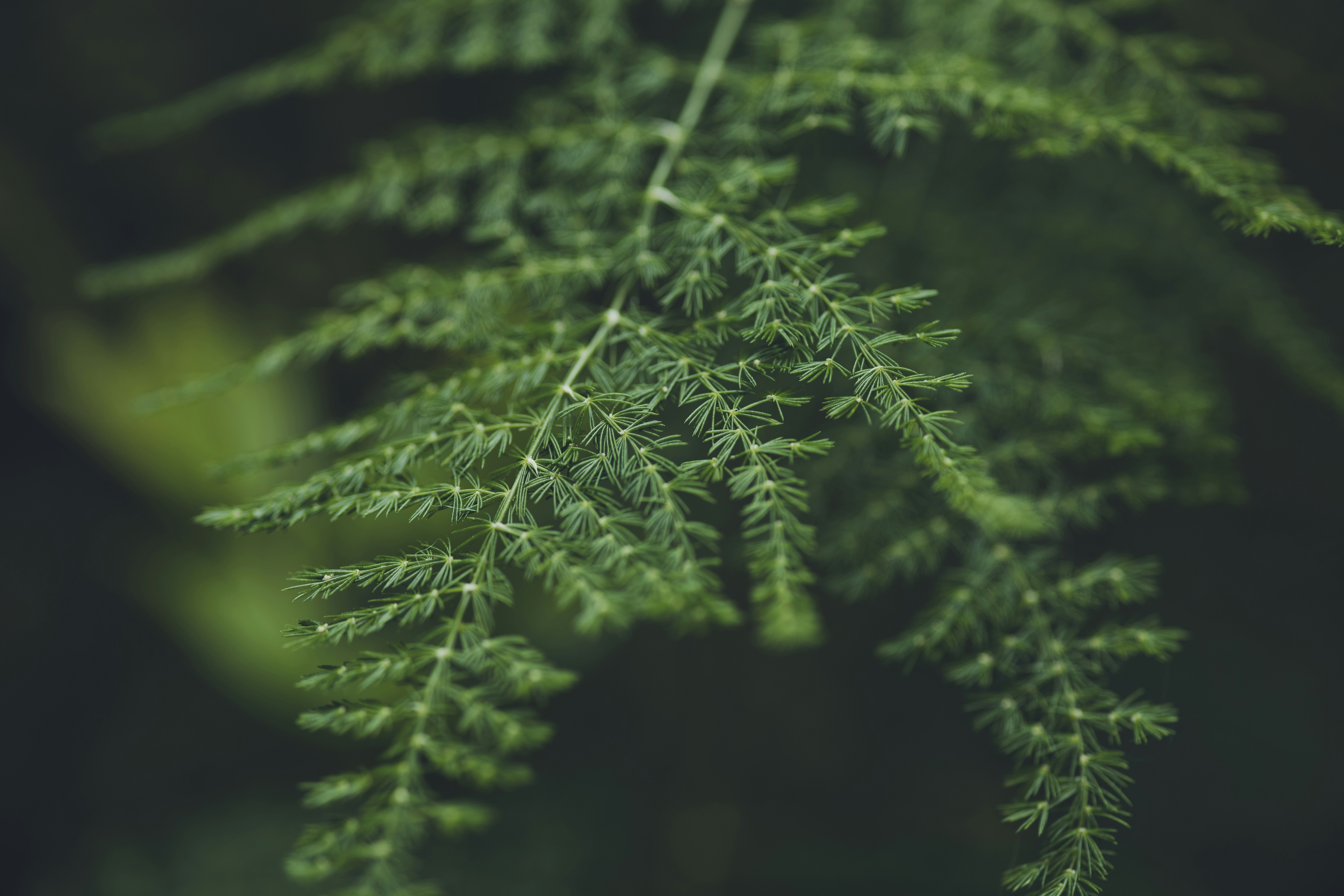 Photo by rrodriguesim