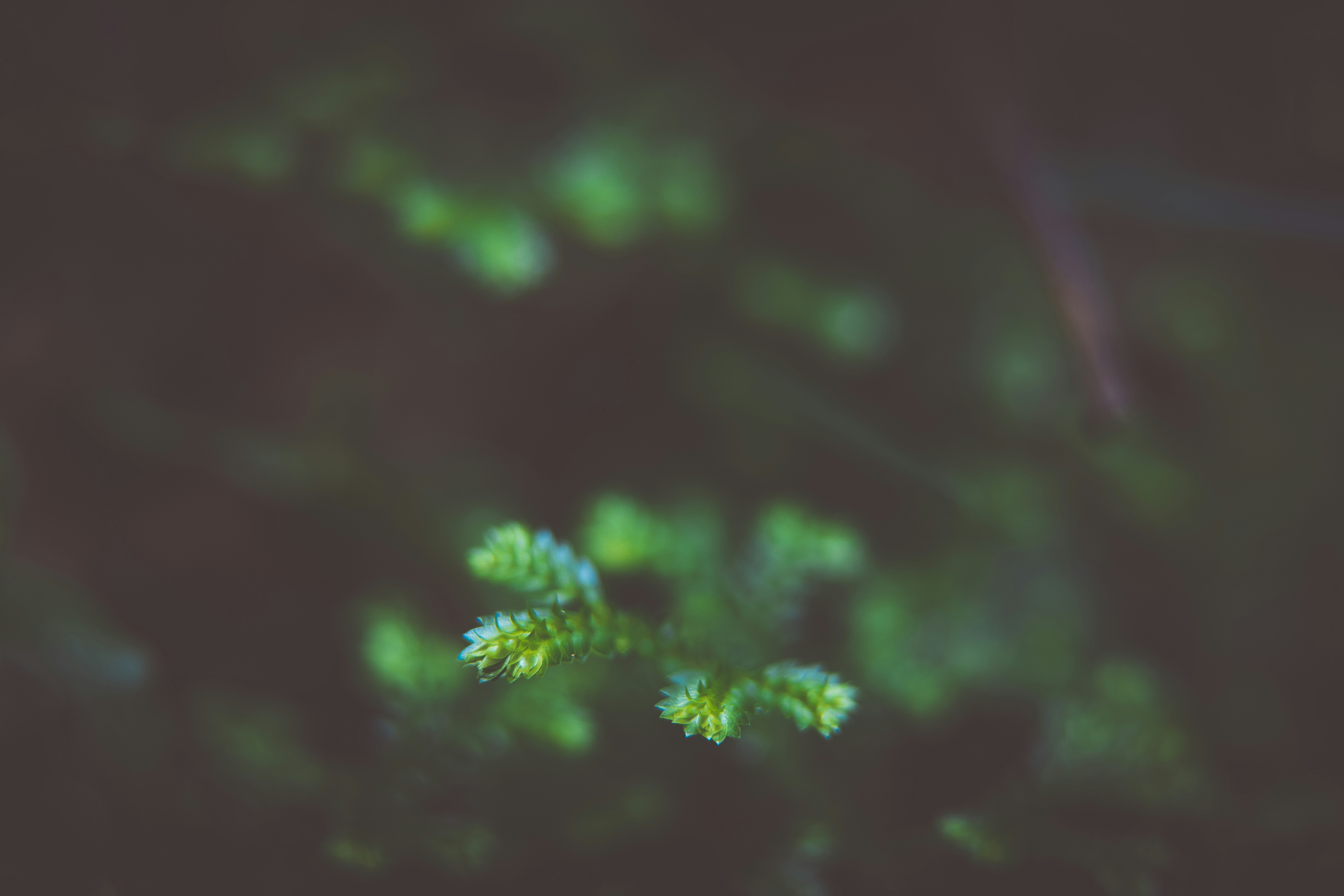 Photo by rrodriguesim