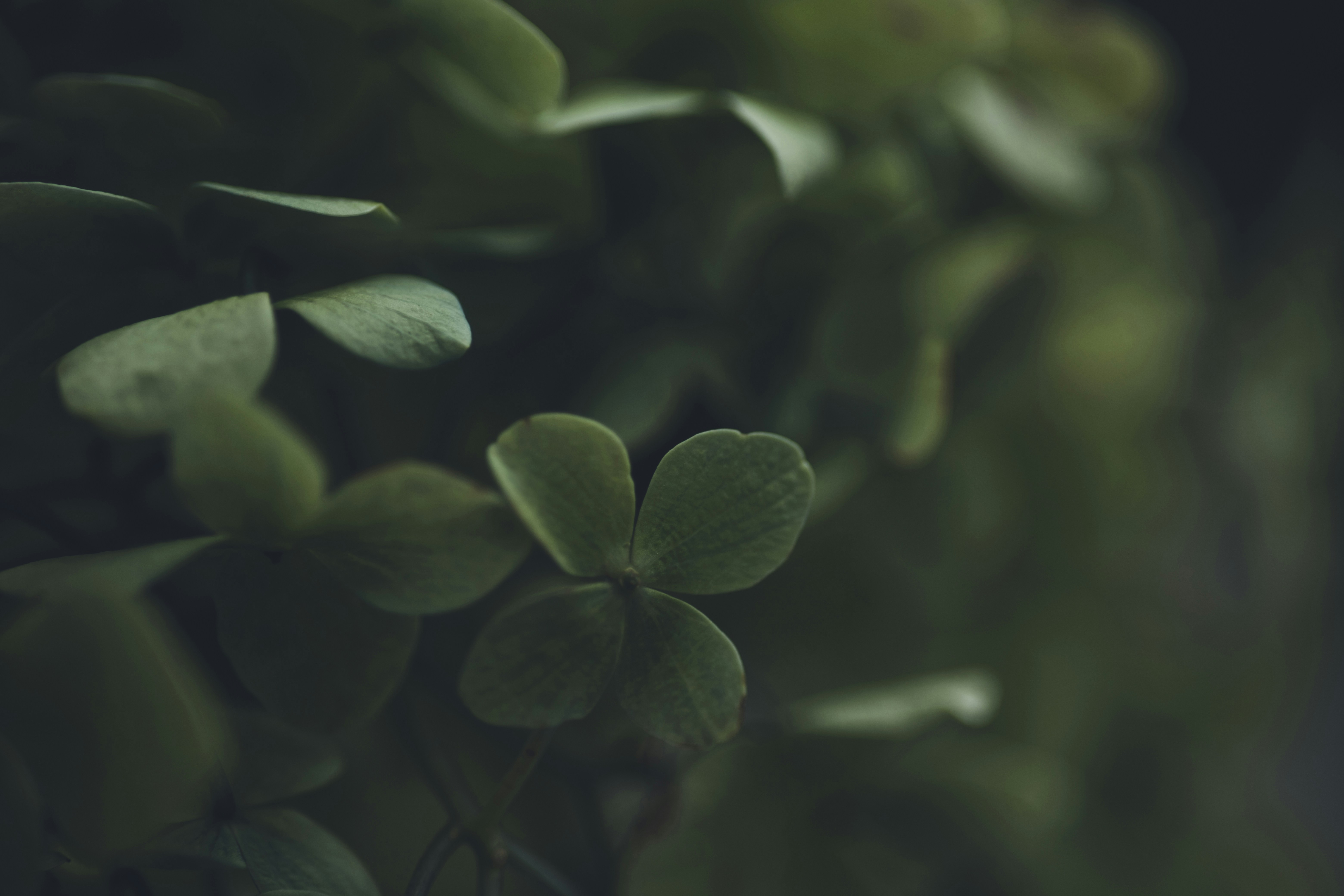 Photo by rrodriguesim