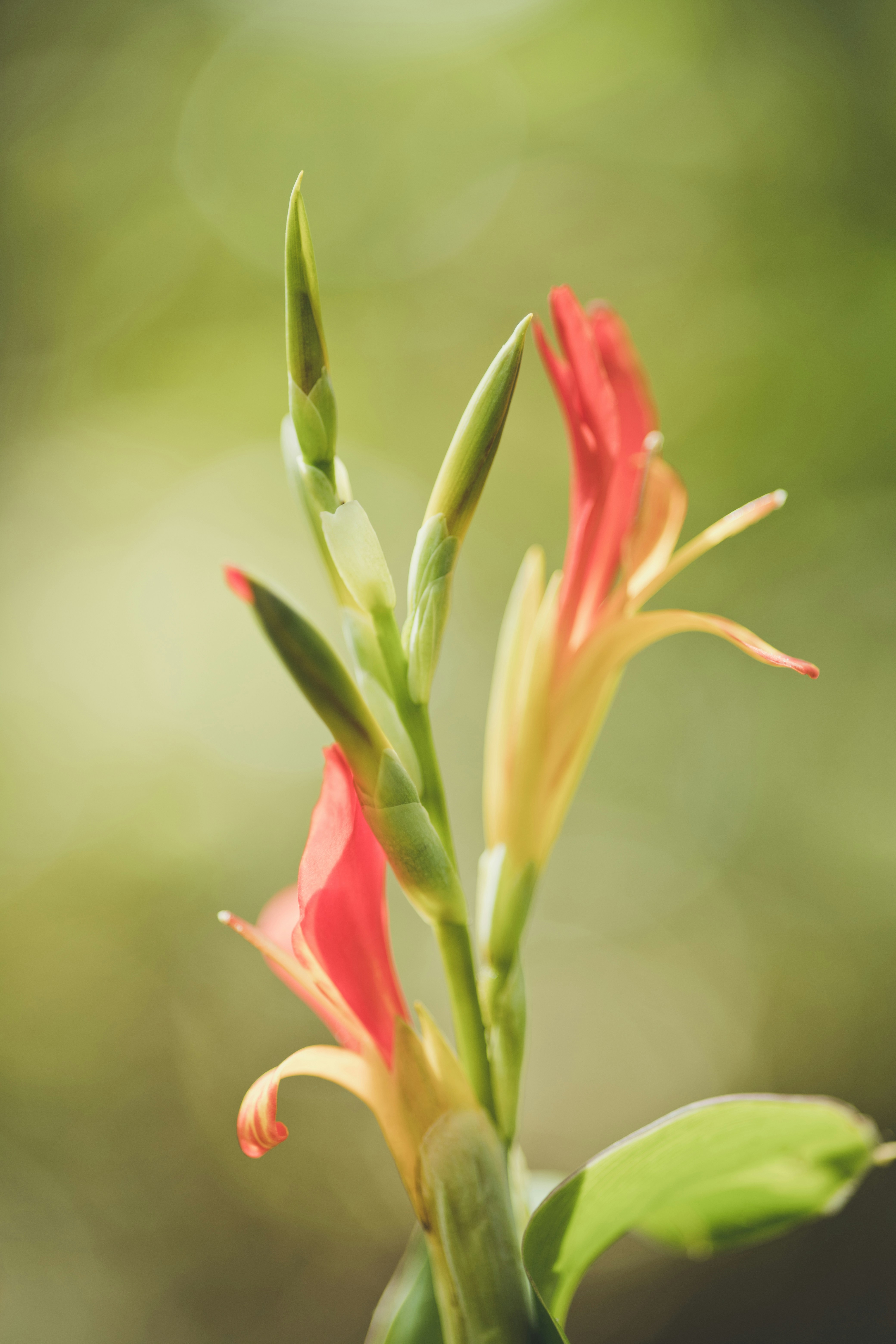 Photo by rrodriguesim