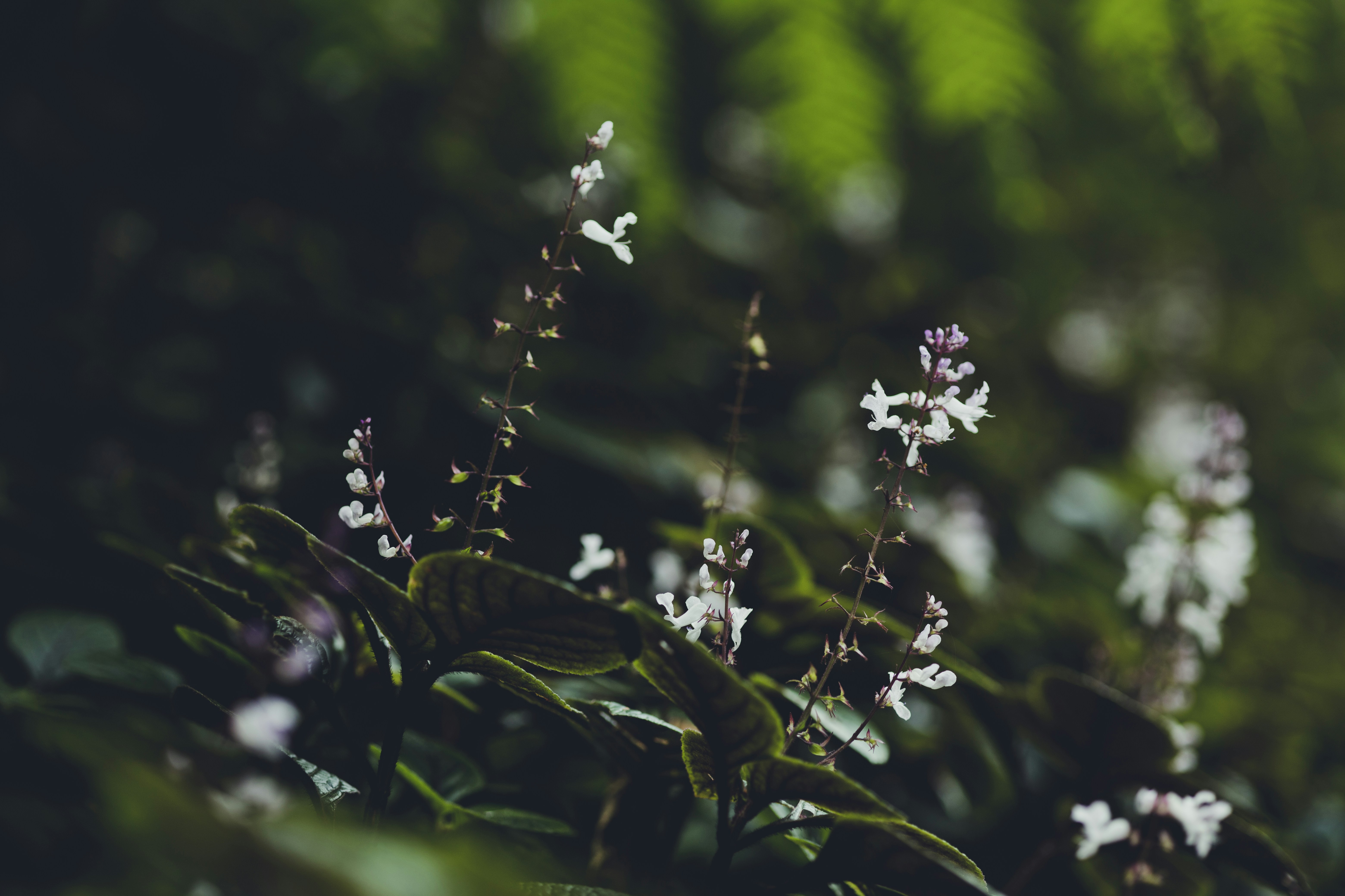 Photo by rrodriguesim