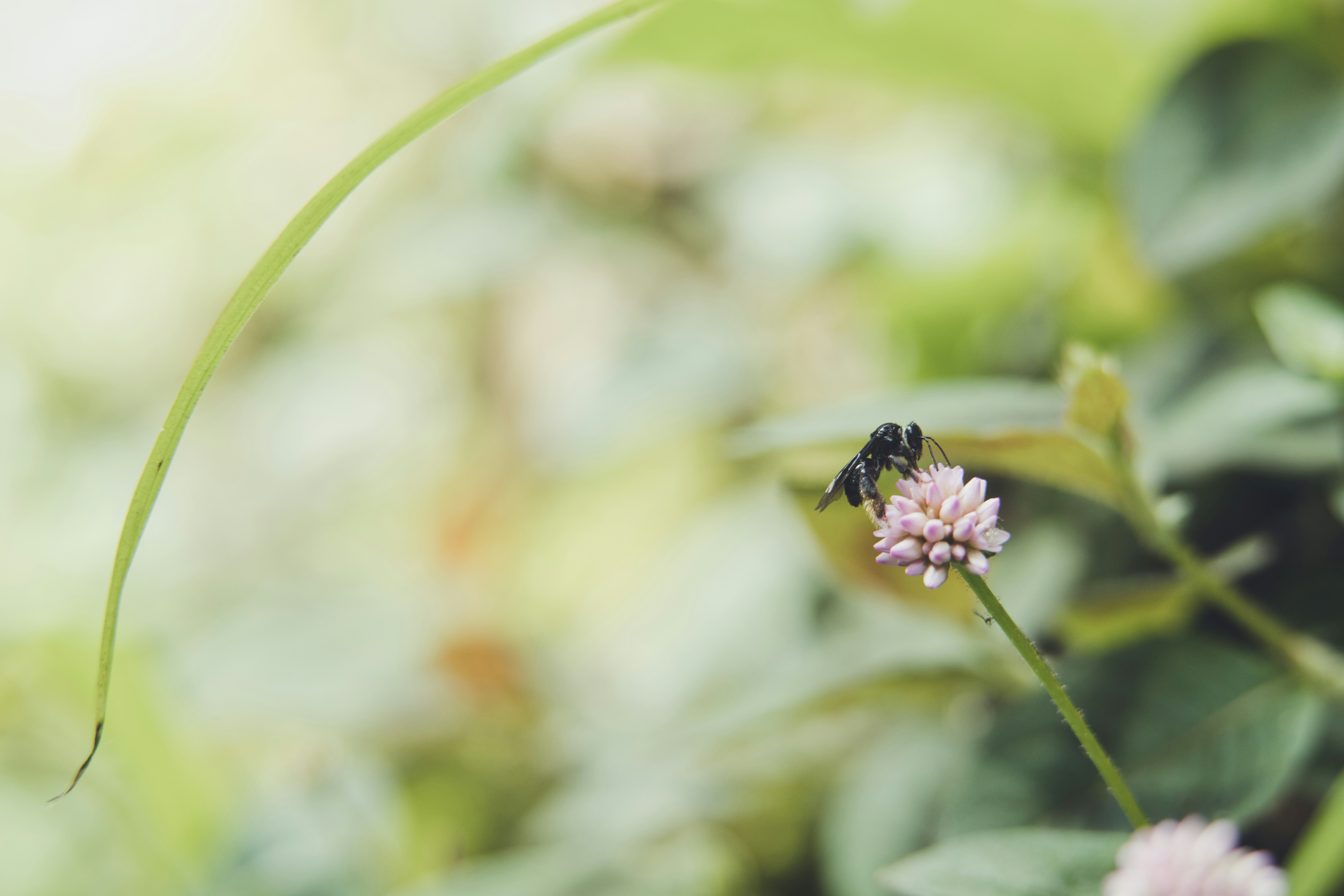 Photo by rrodriguesim