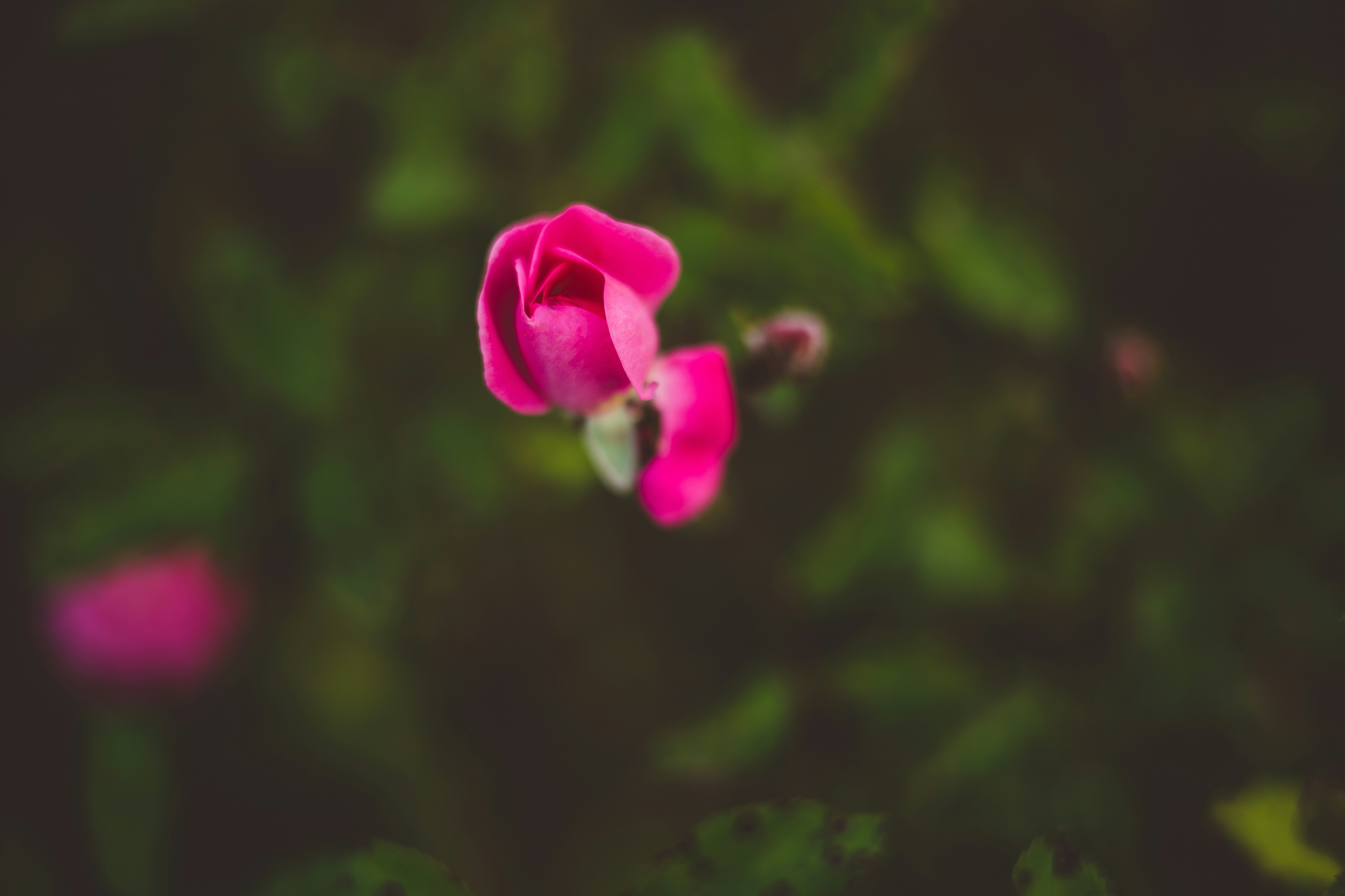 Photo by rrodriguesim