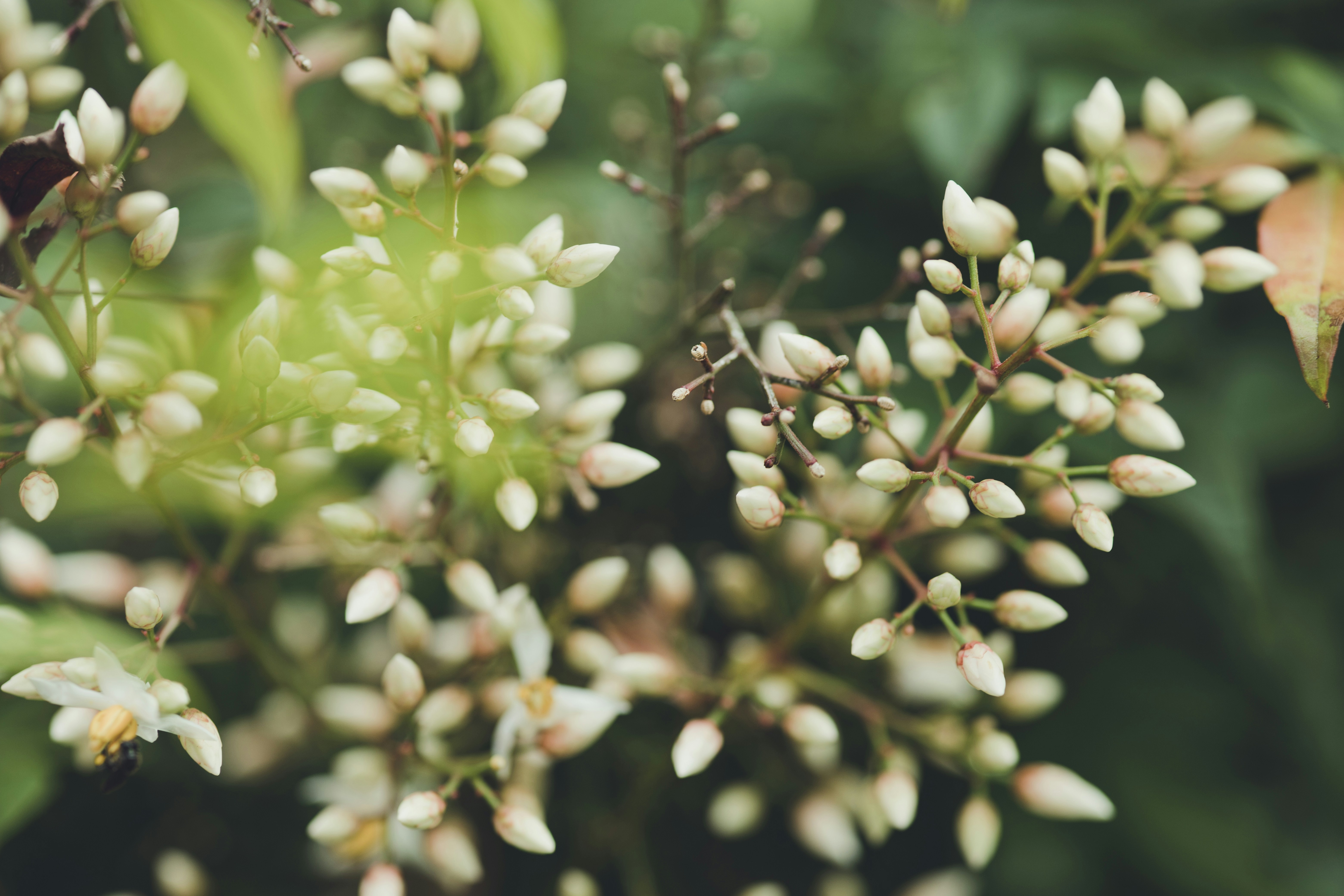 Photo by rrodriguesim