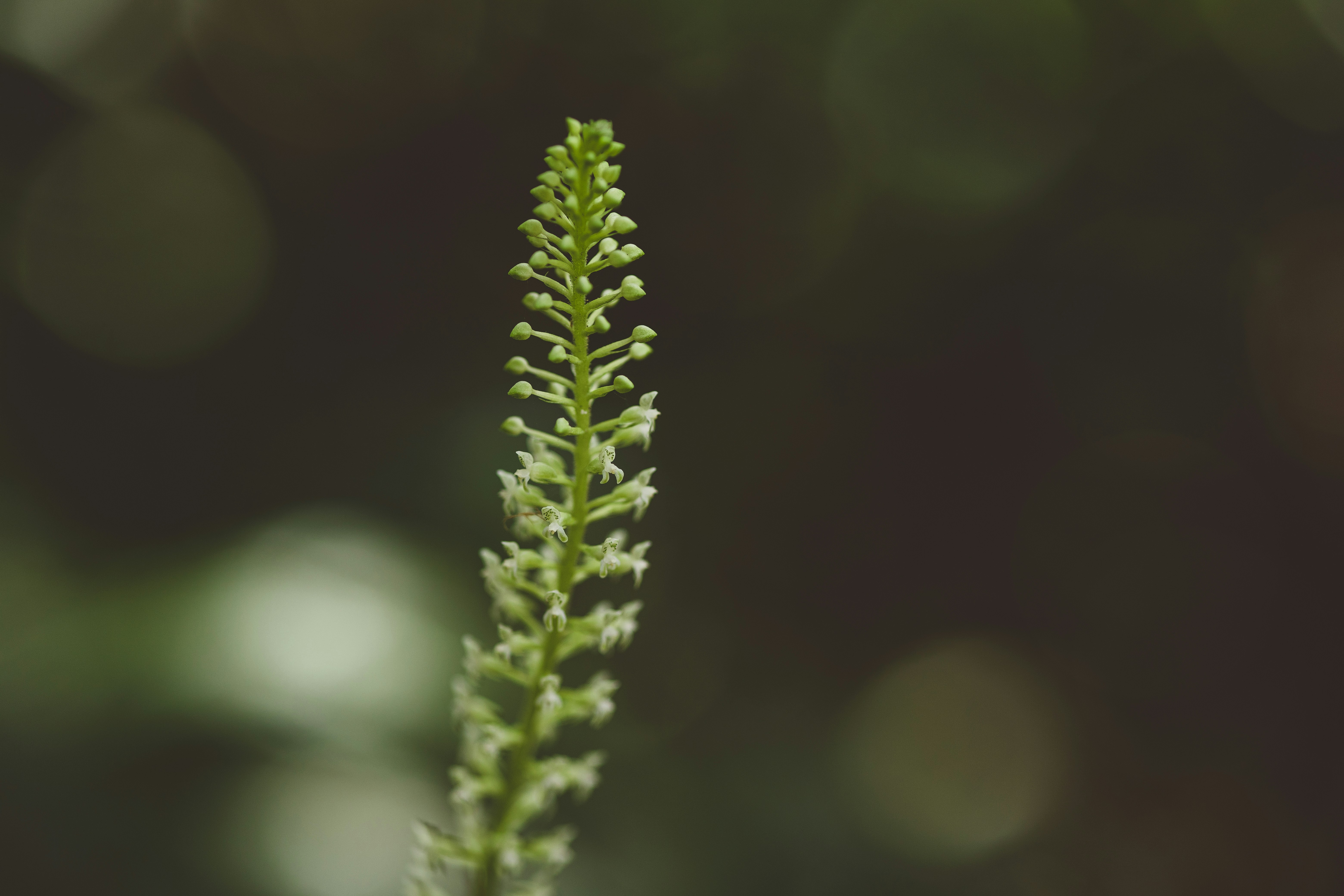 Photo by rrodriguesim