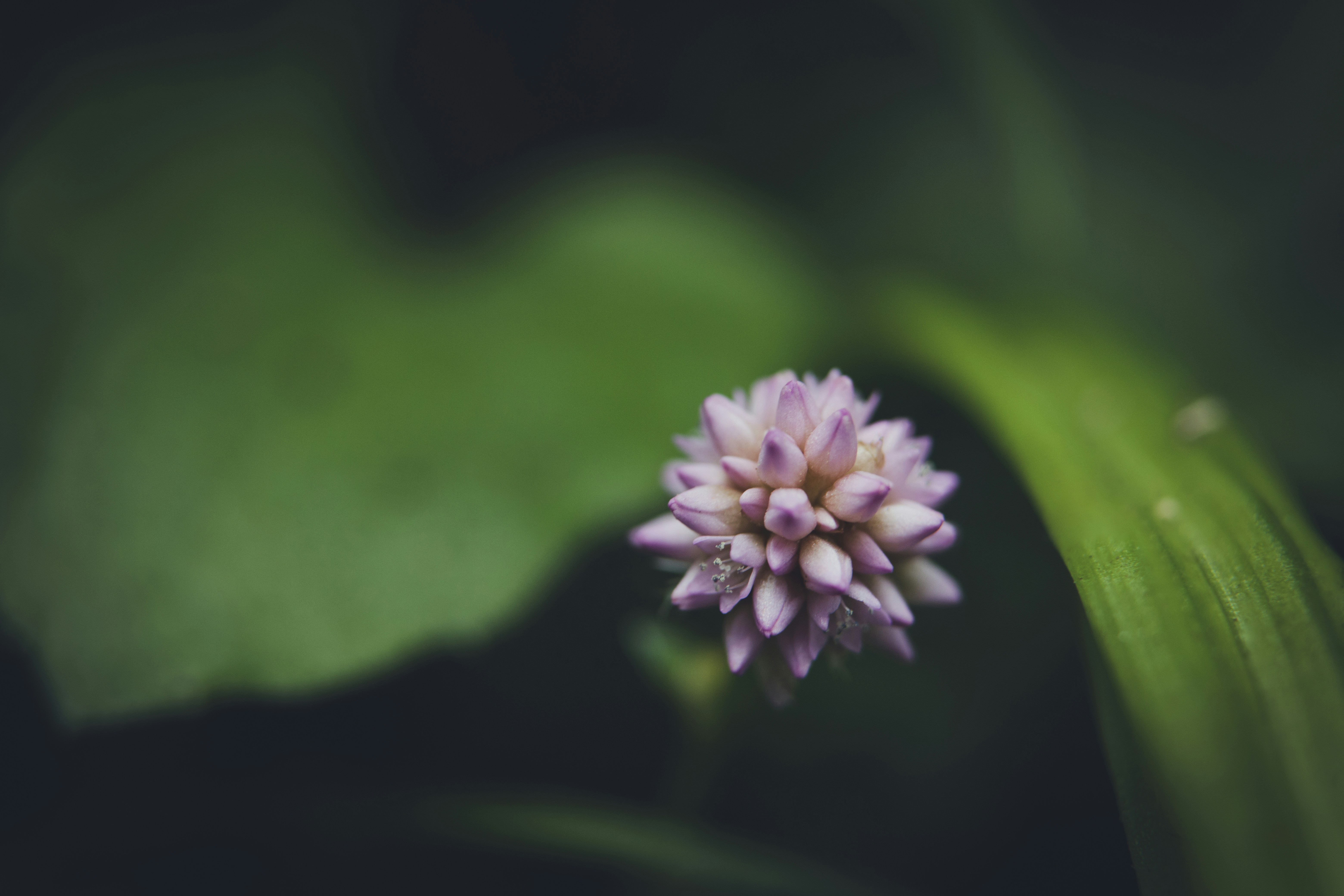 Photo by rrodriguesim