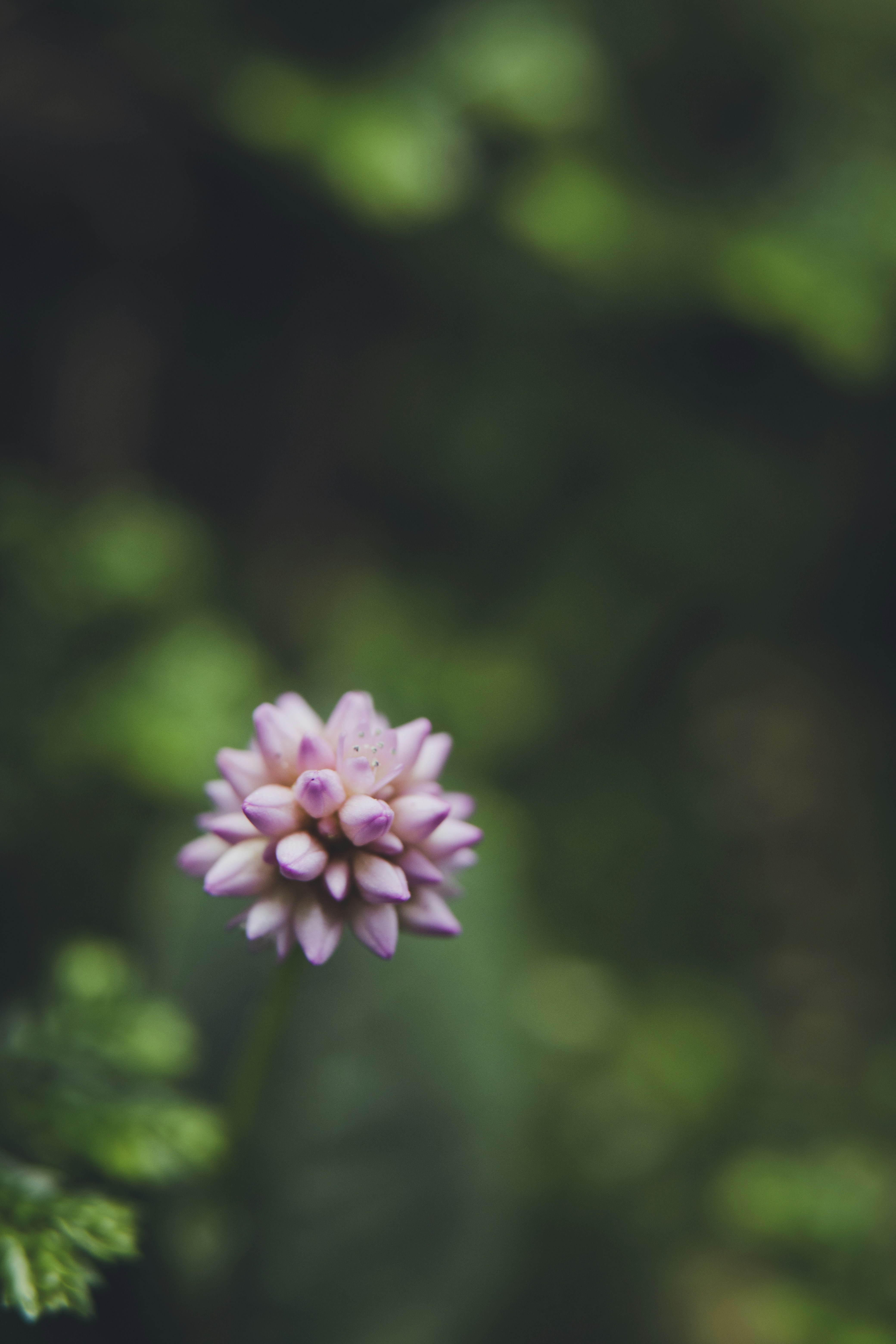 Photo by rrodriguesim