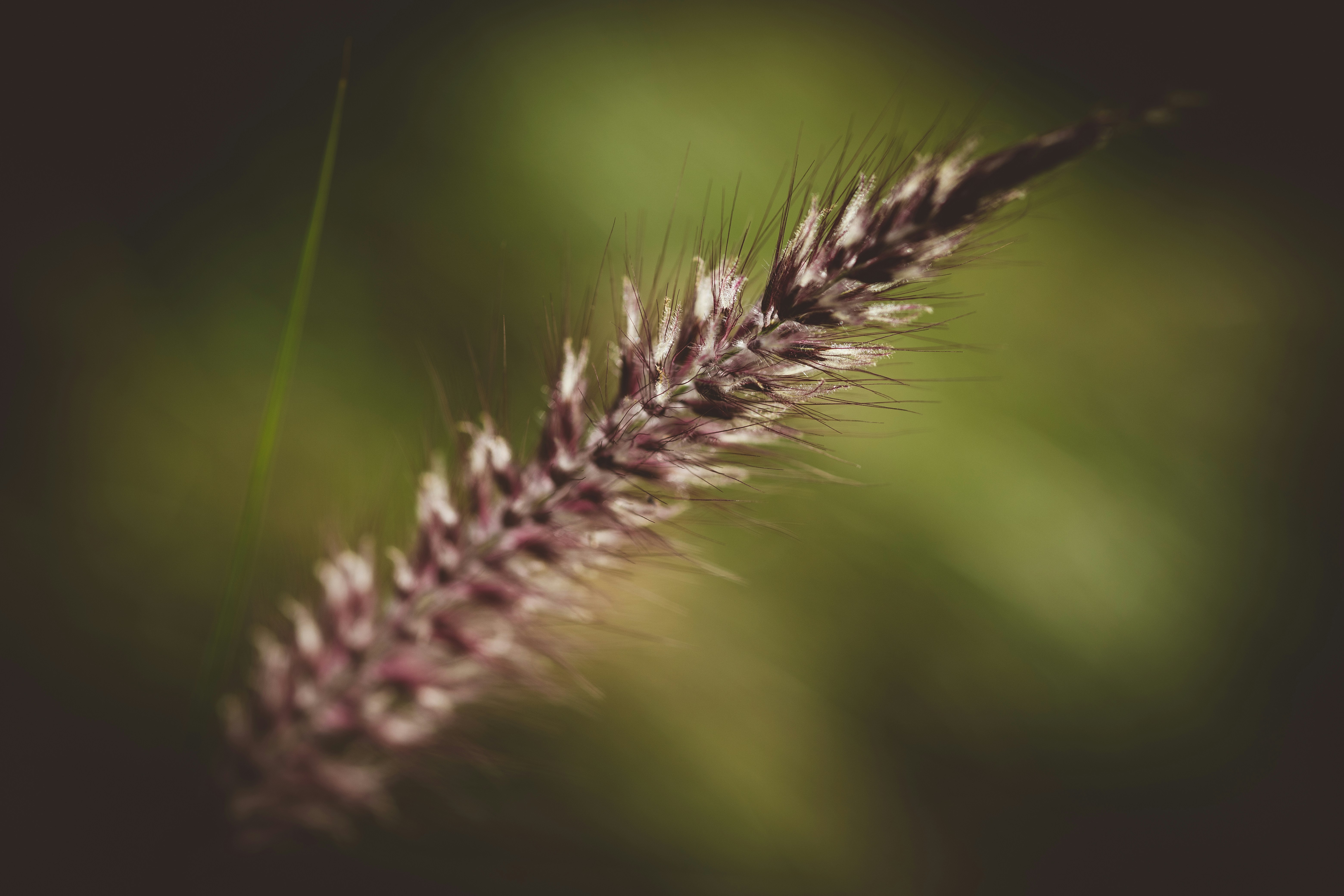 Photo by rrodriguesim