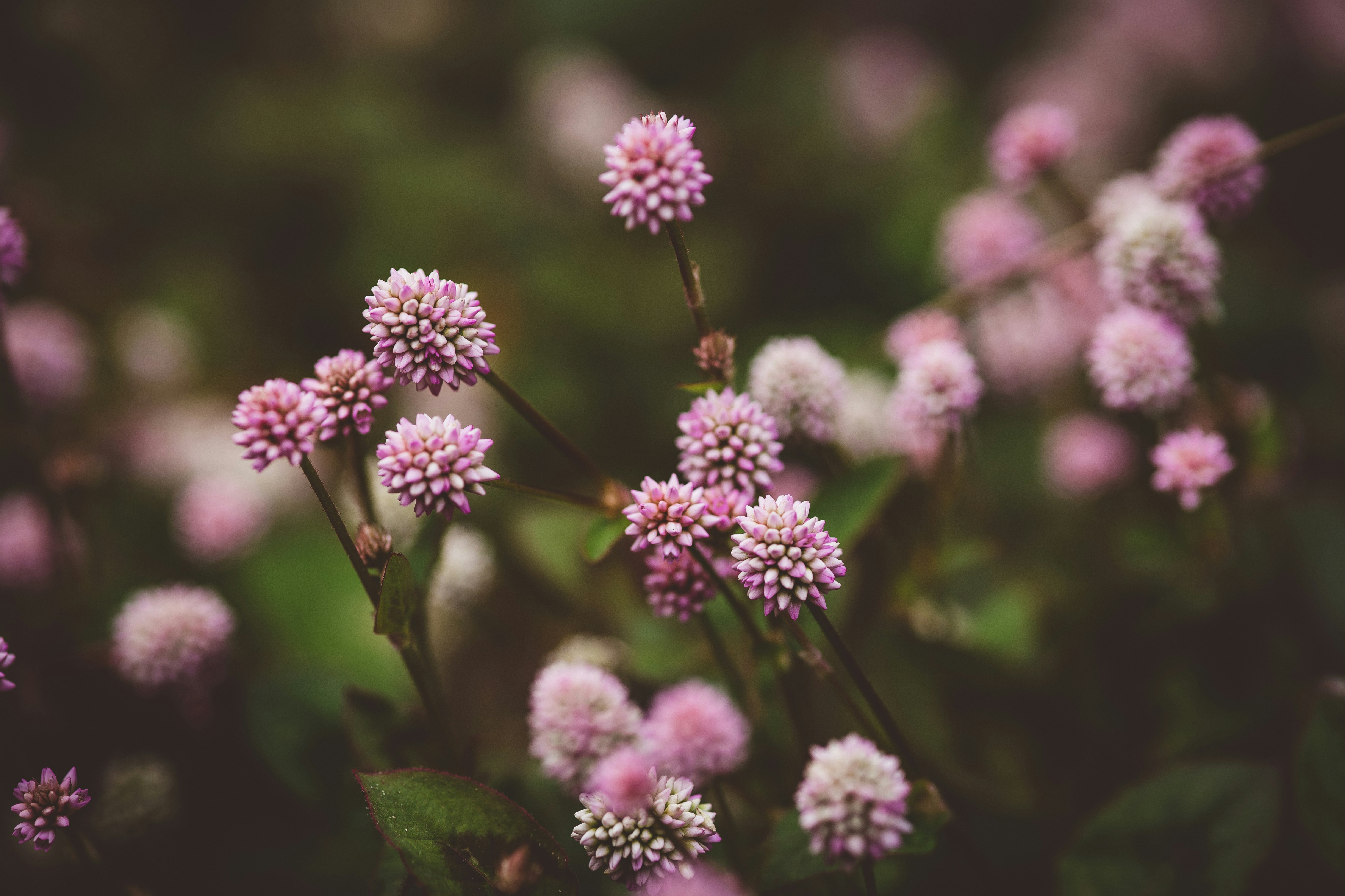 Photo by rrodriguesim