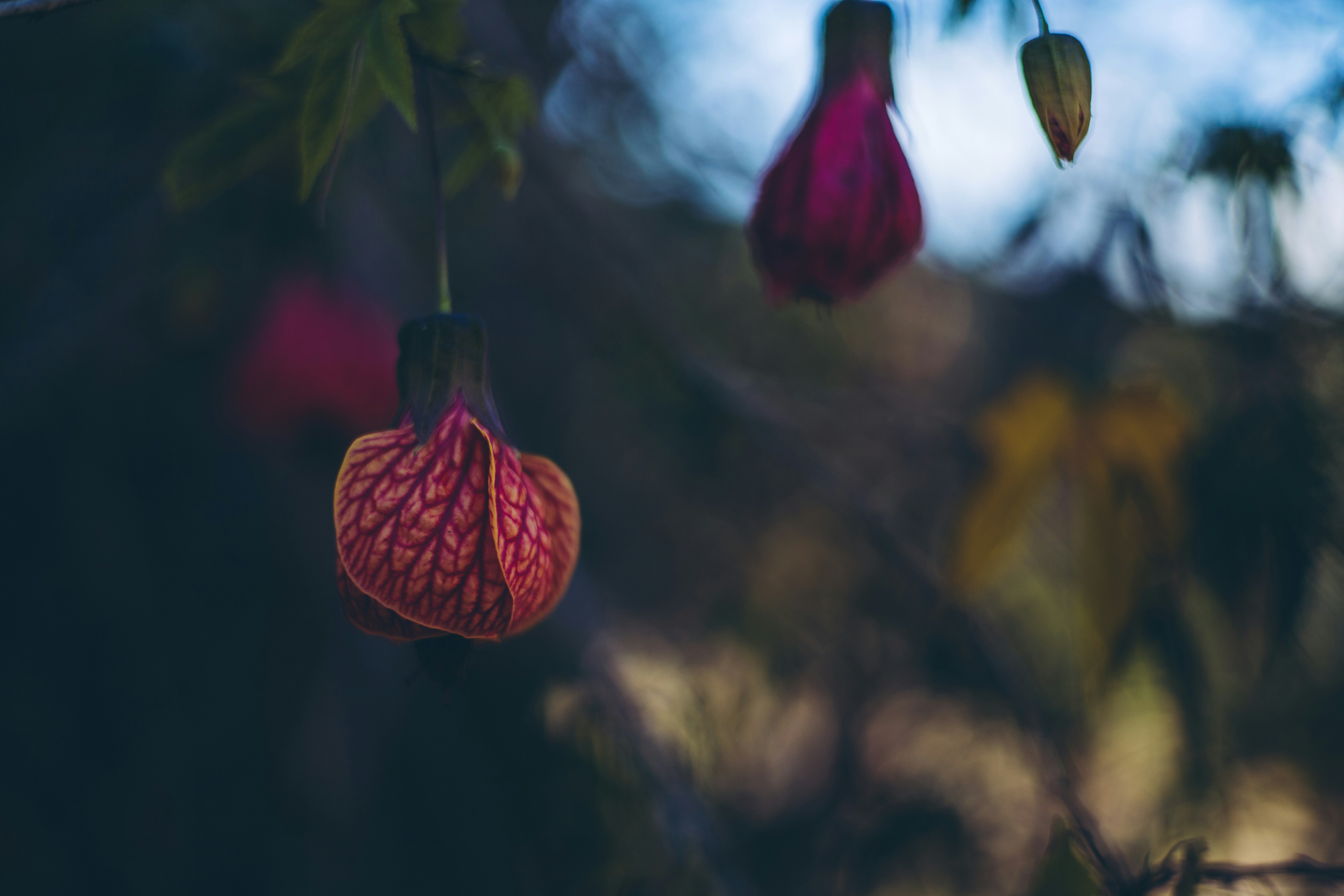 Photo by rrodriguesim