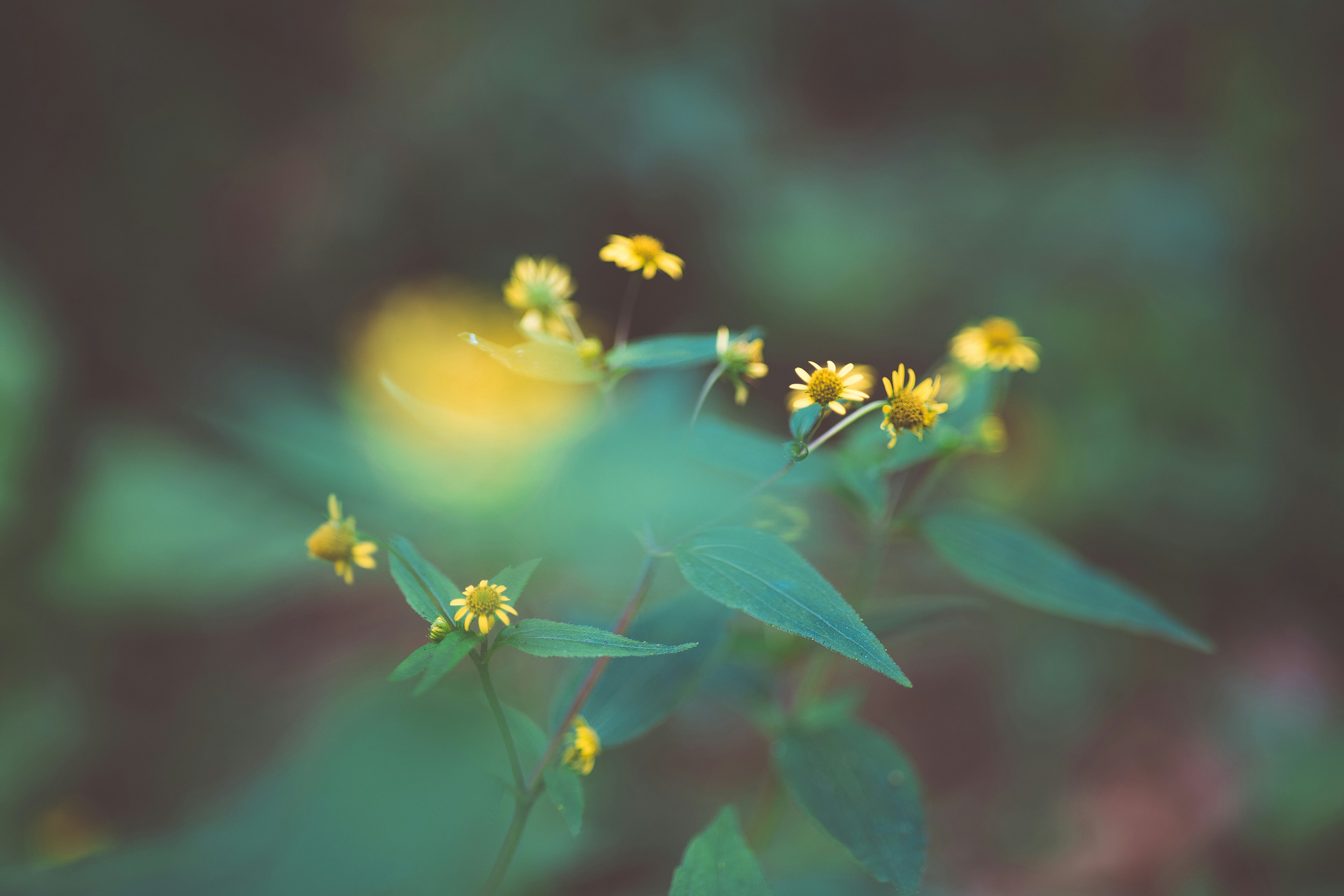 Photo by rrodriguesim