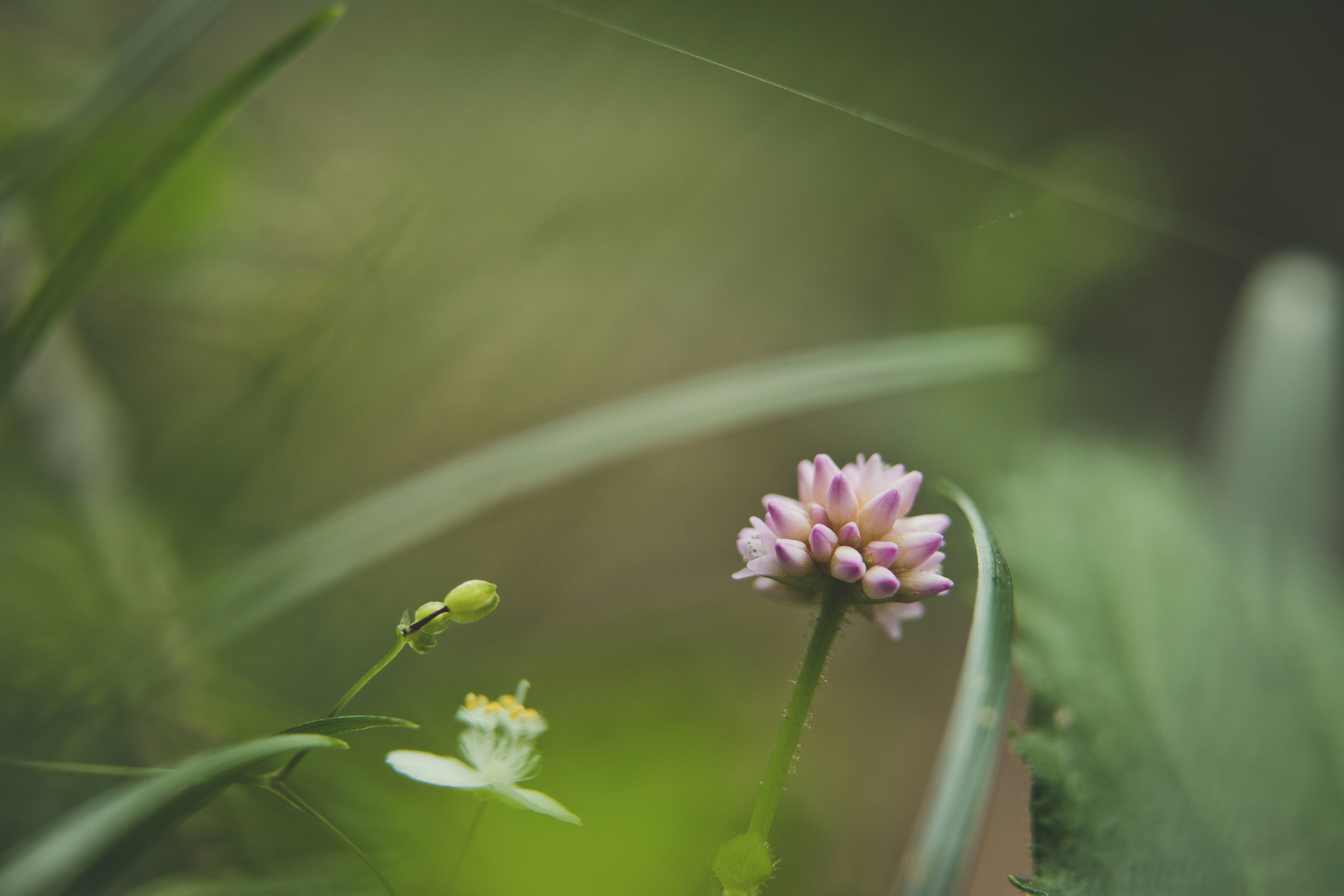 Photo by rrodriguesim