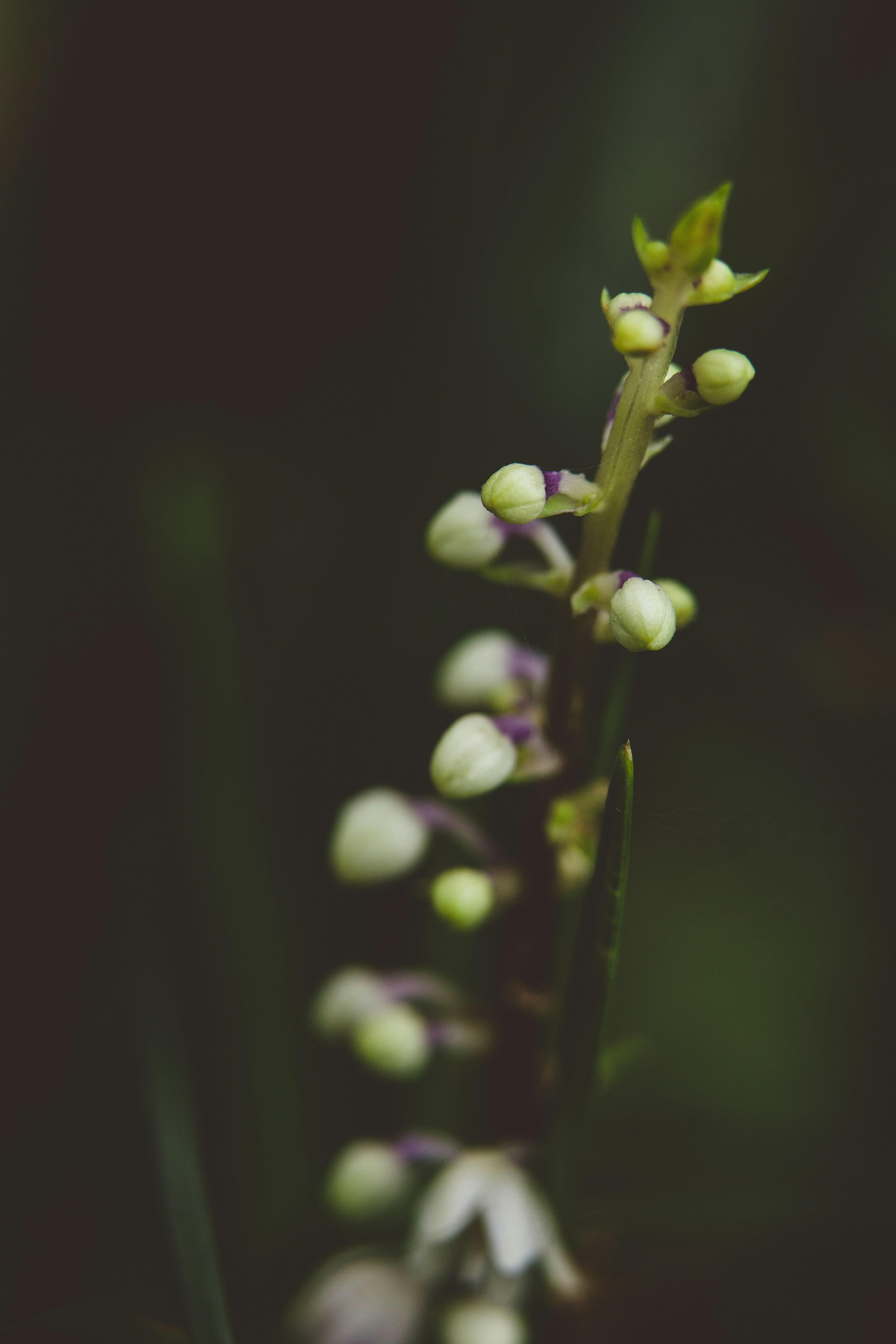 Photo by rrodriguesim