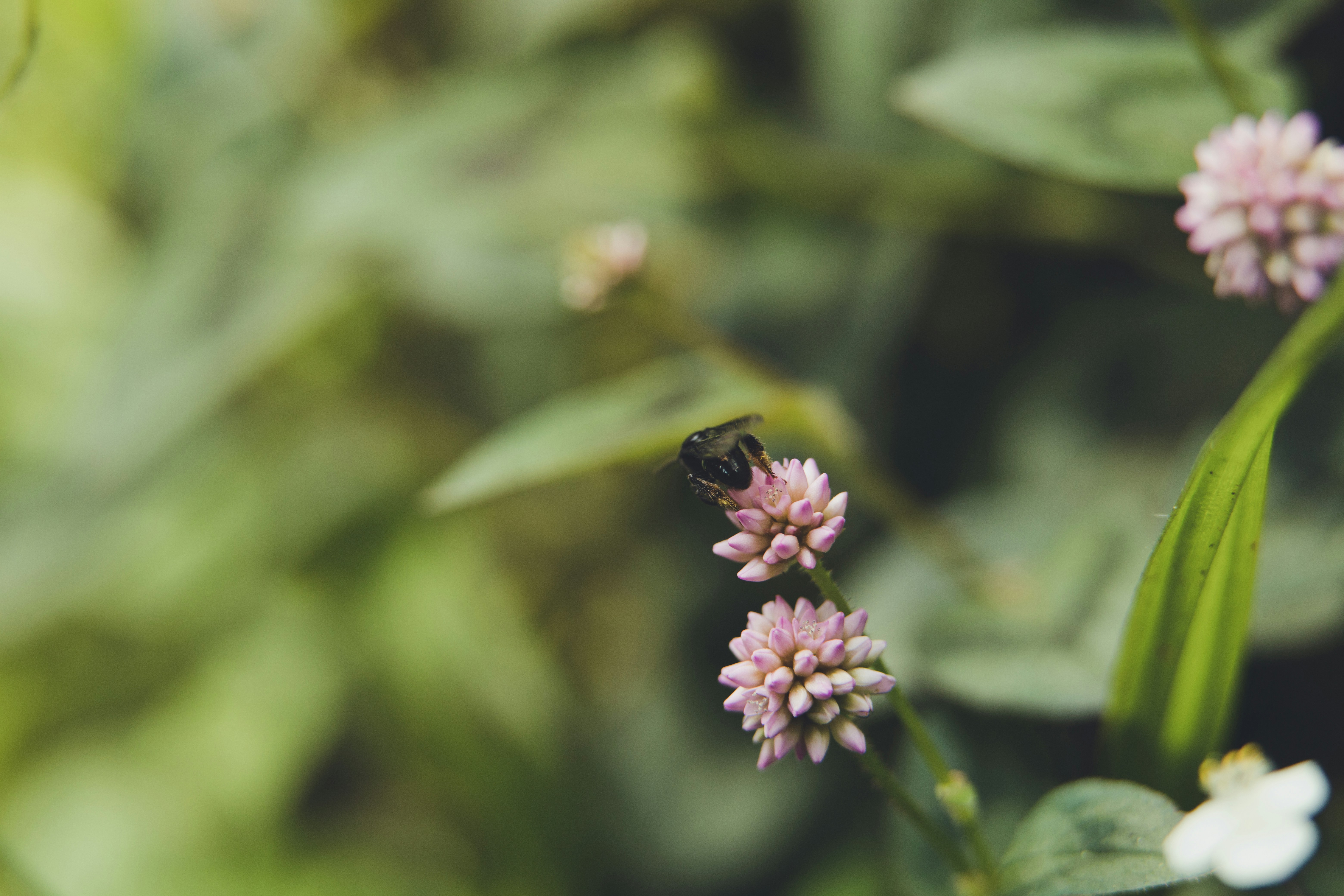 Photo by rrodriguesim