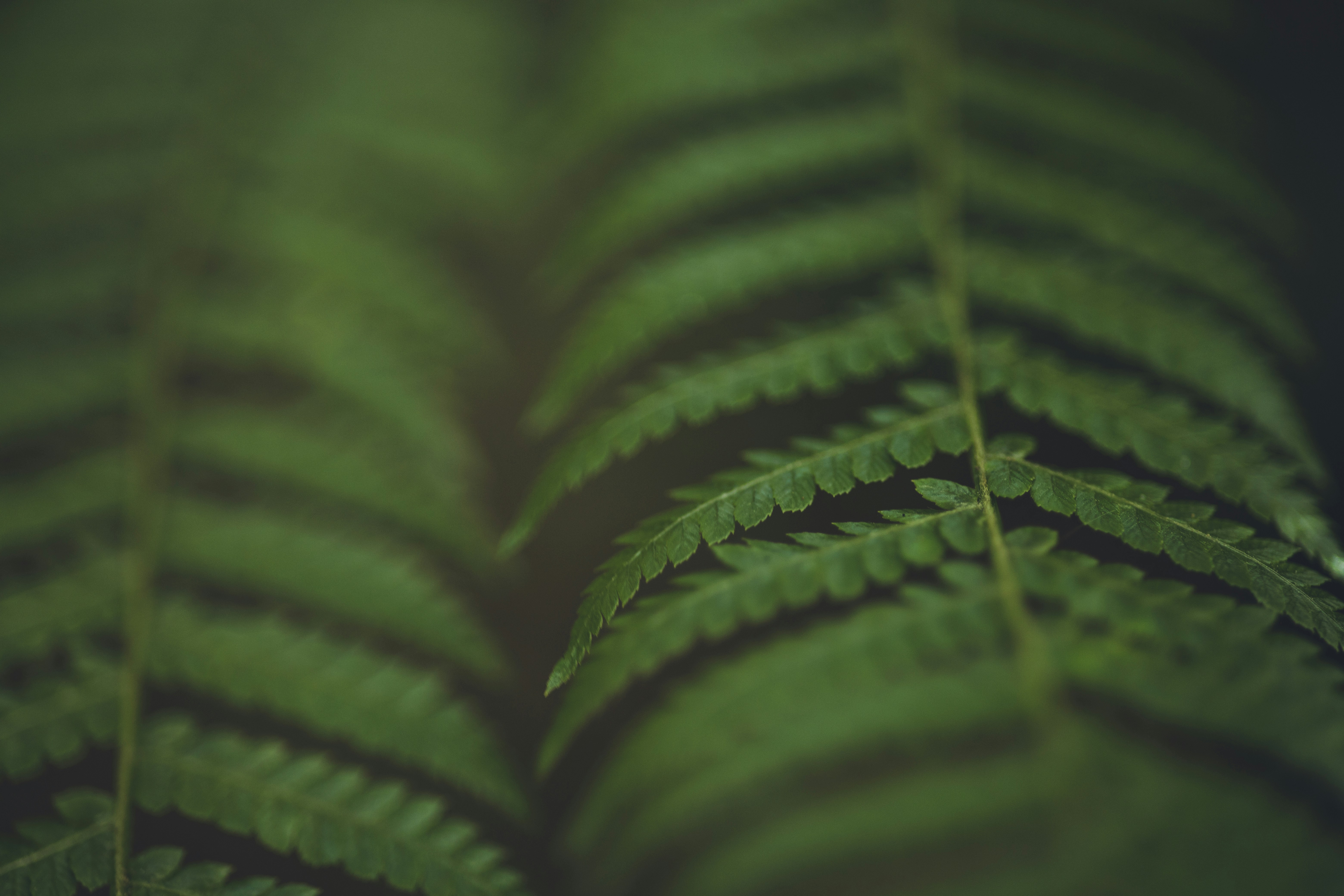 Photo by rrodriguesim