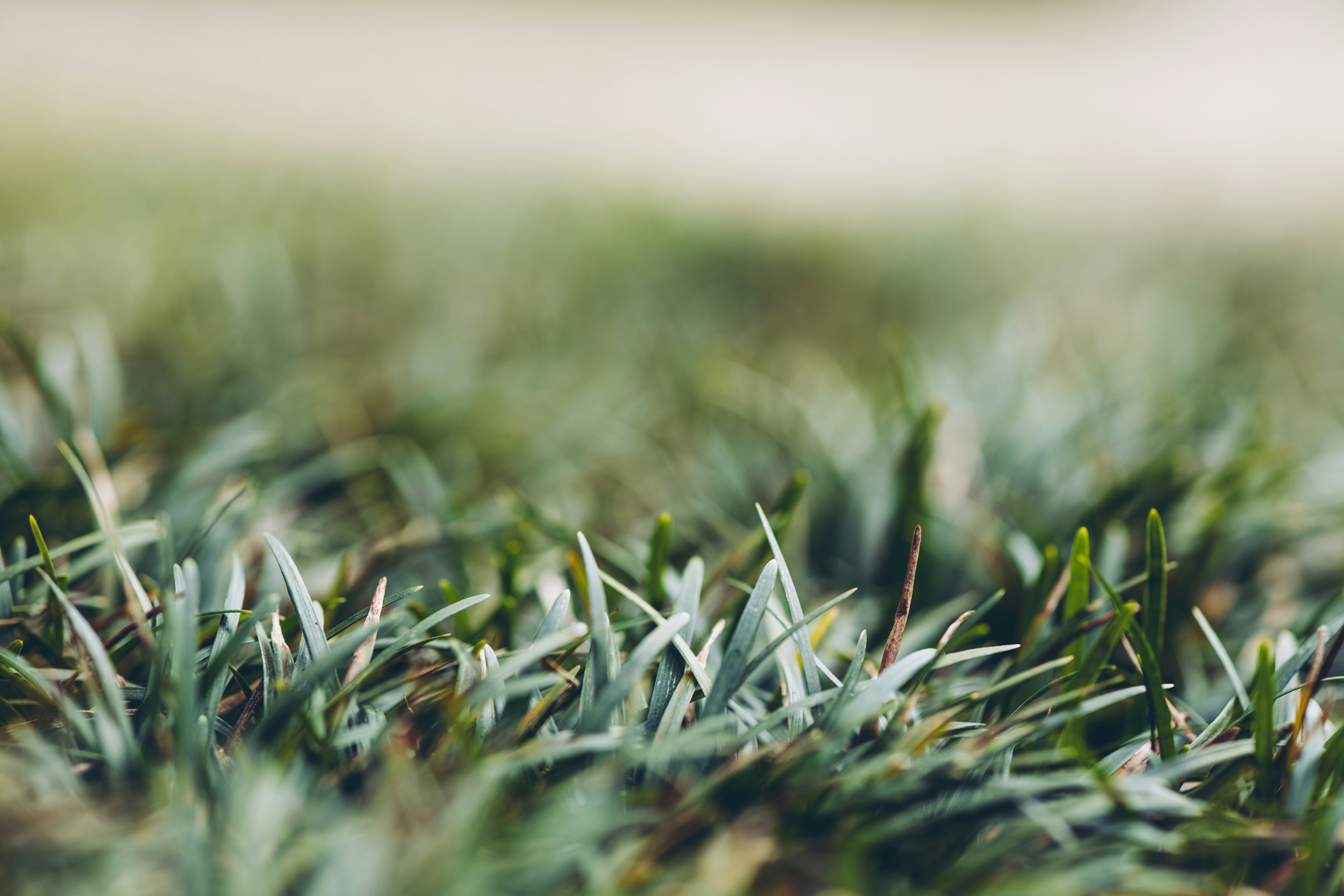 Photo by rrodriguesim