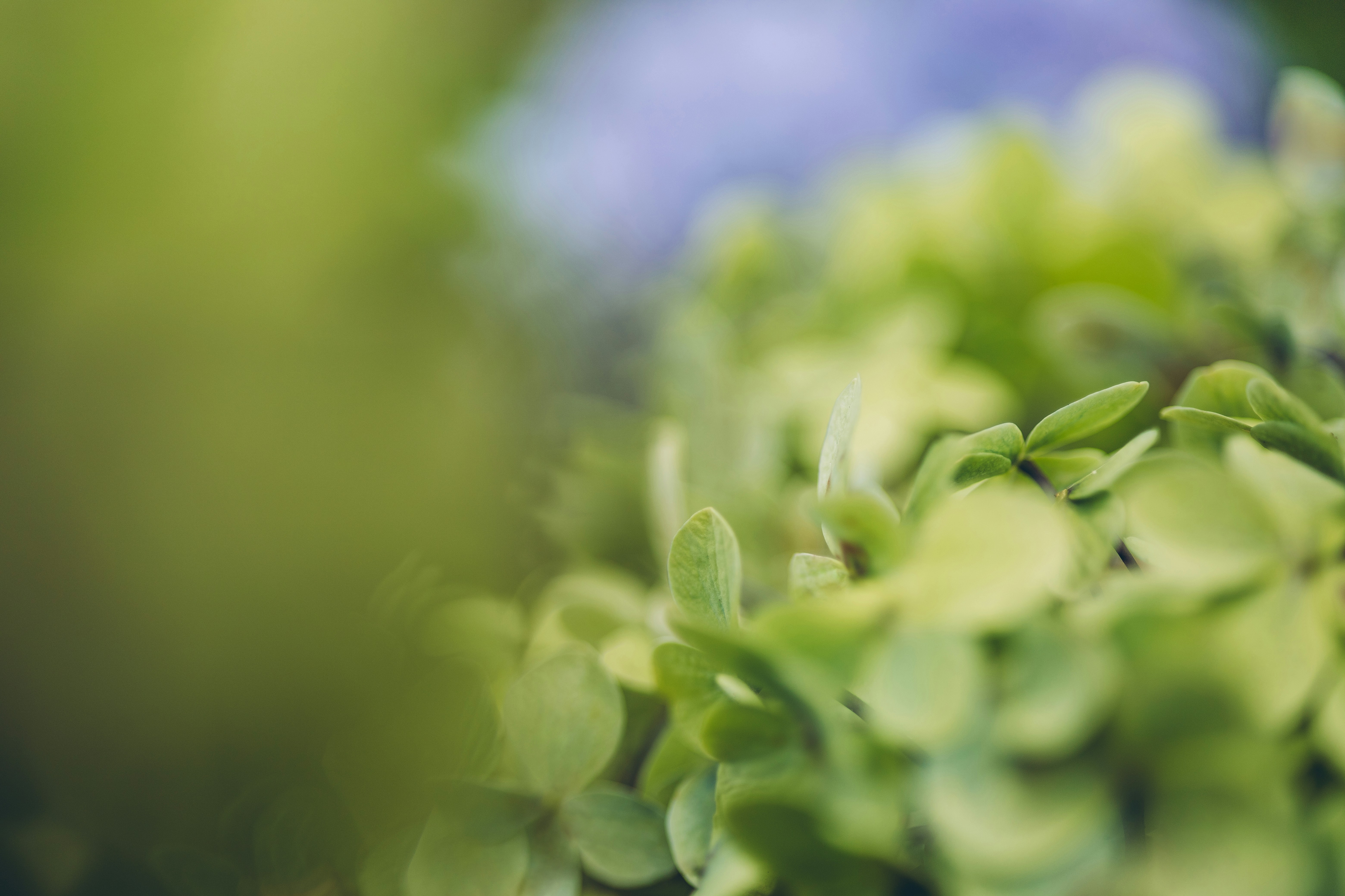 Photo by rrodriguesim