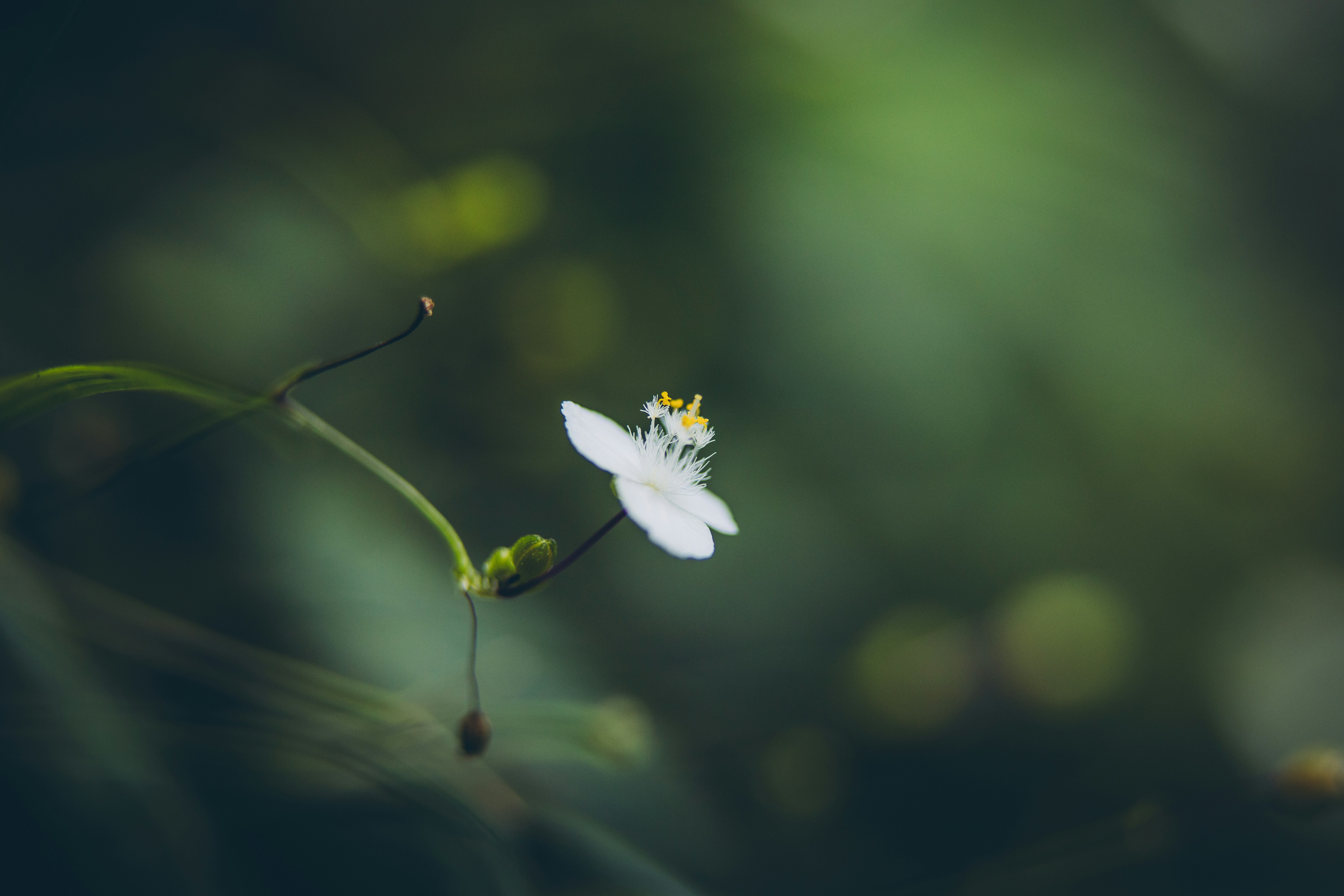 Photo by rrodriguesim