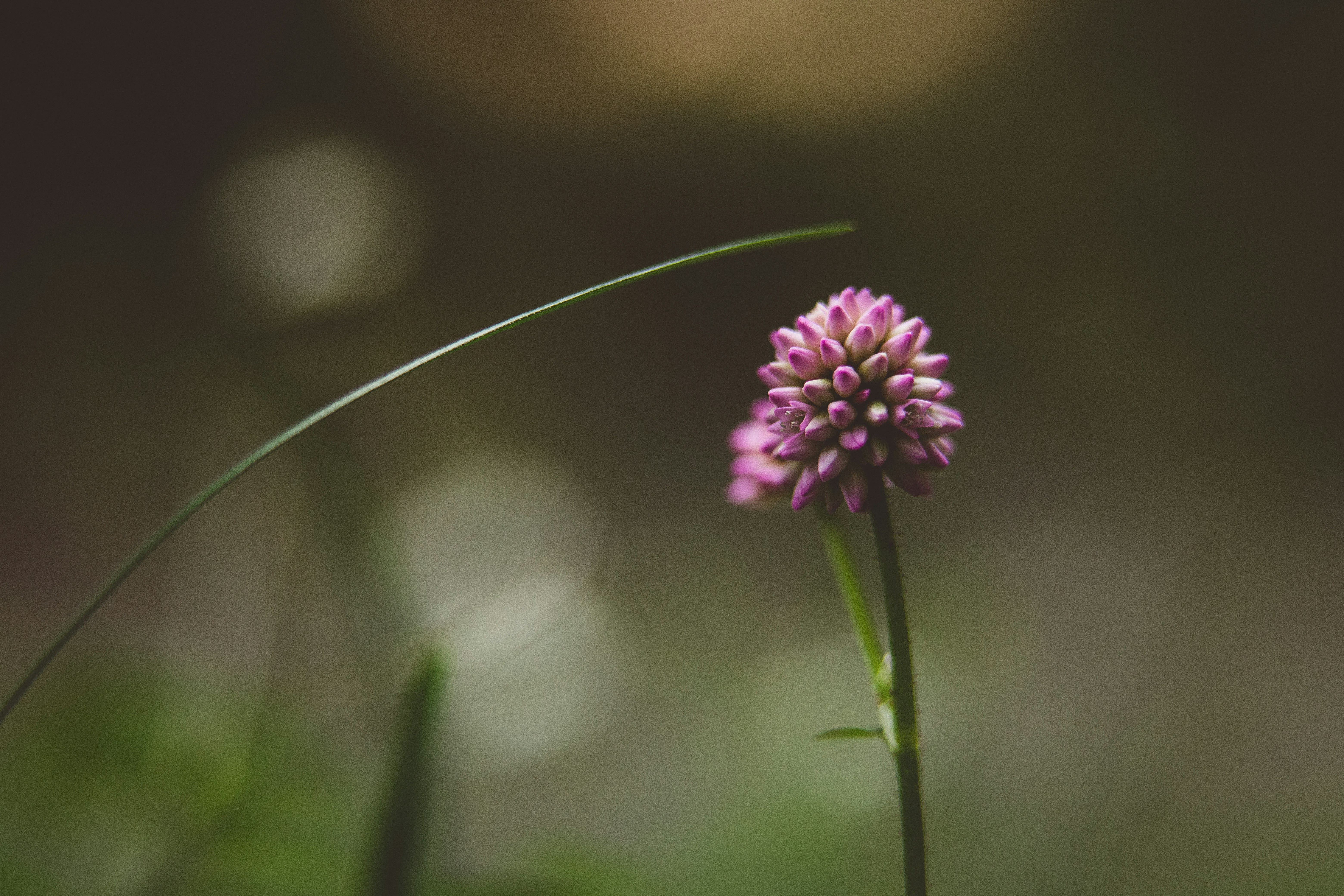 Photo by rrodriguesim