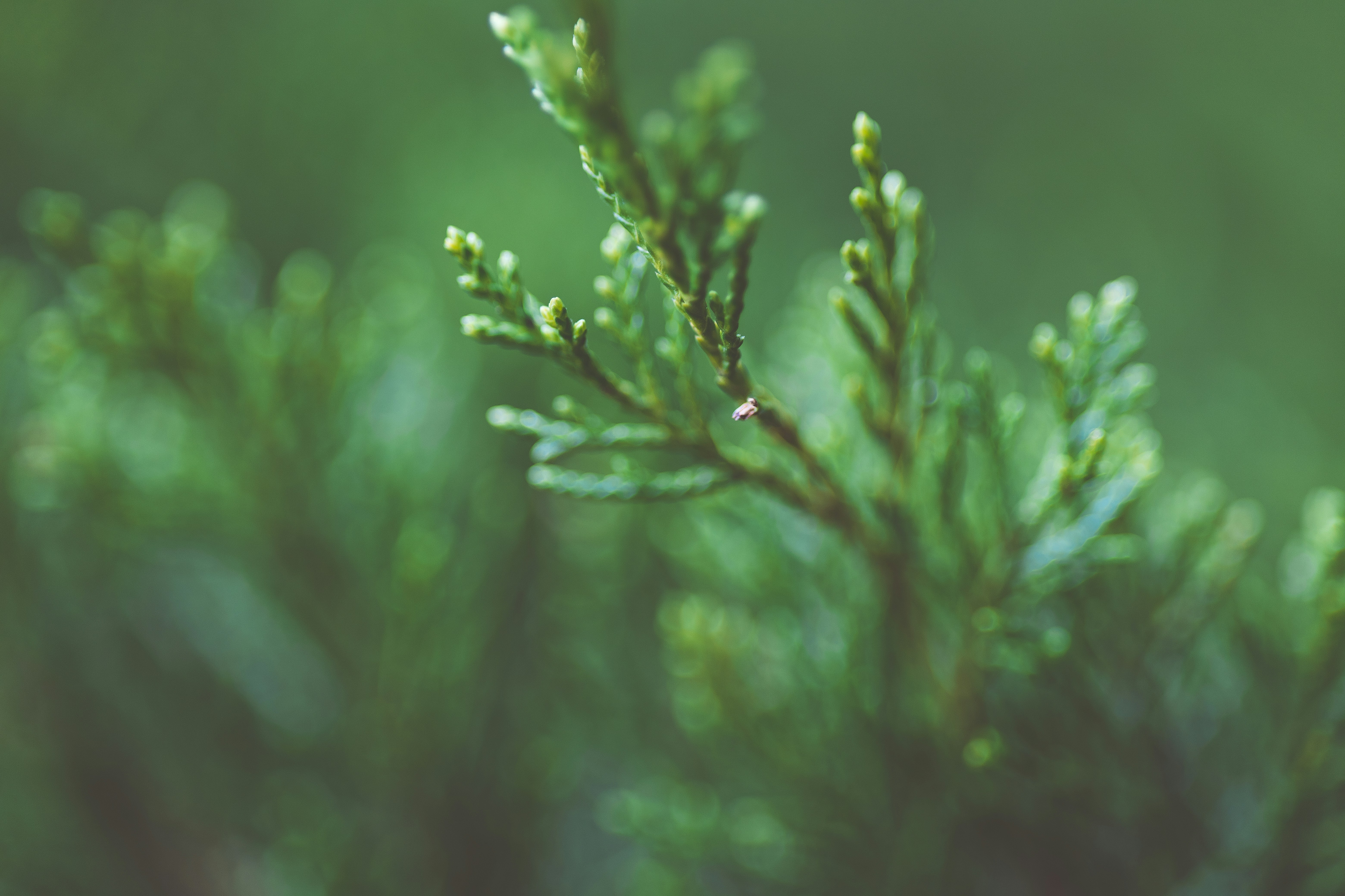 Photo by rrodriguesim