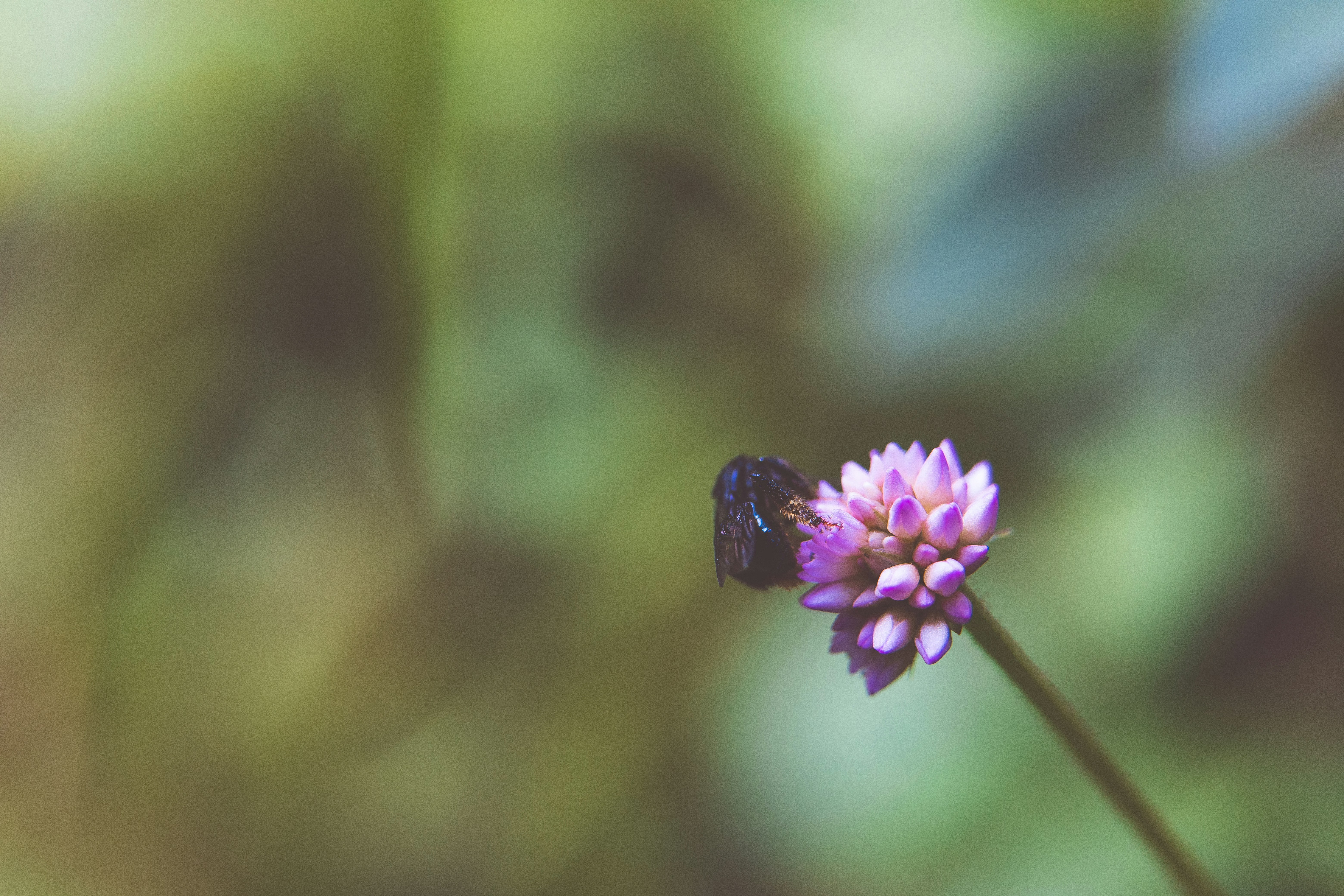 Photo by rrodriguesim